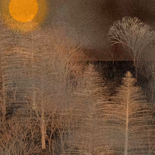 Moonlit Native Bush #111