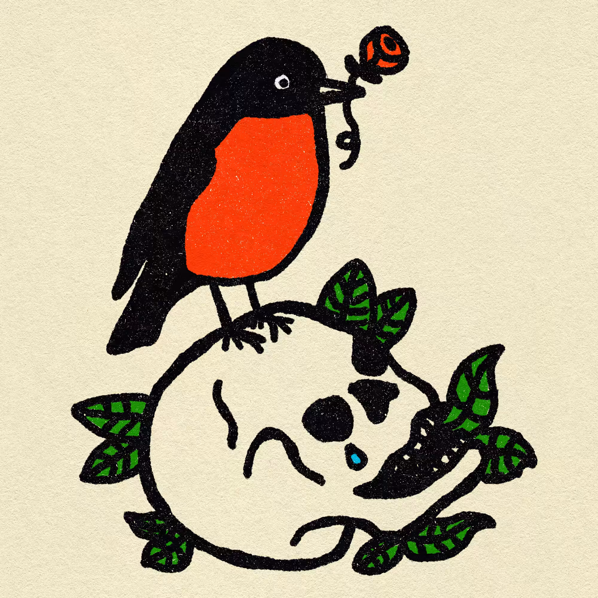 red robin and skull