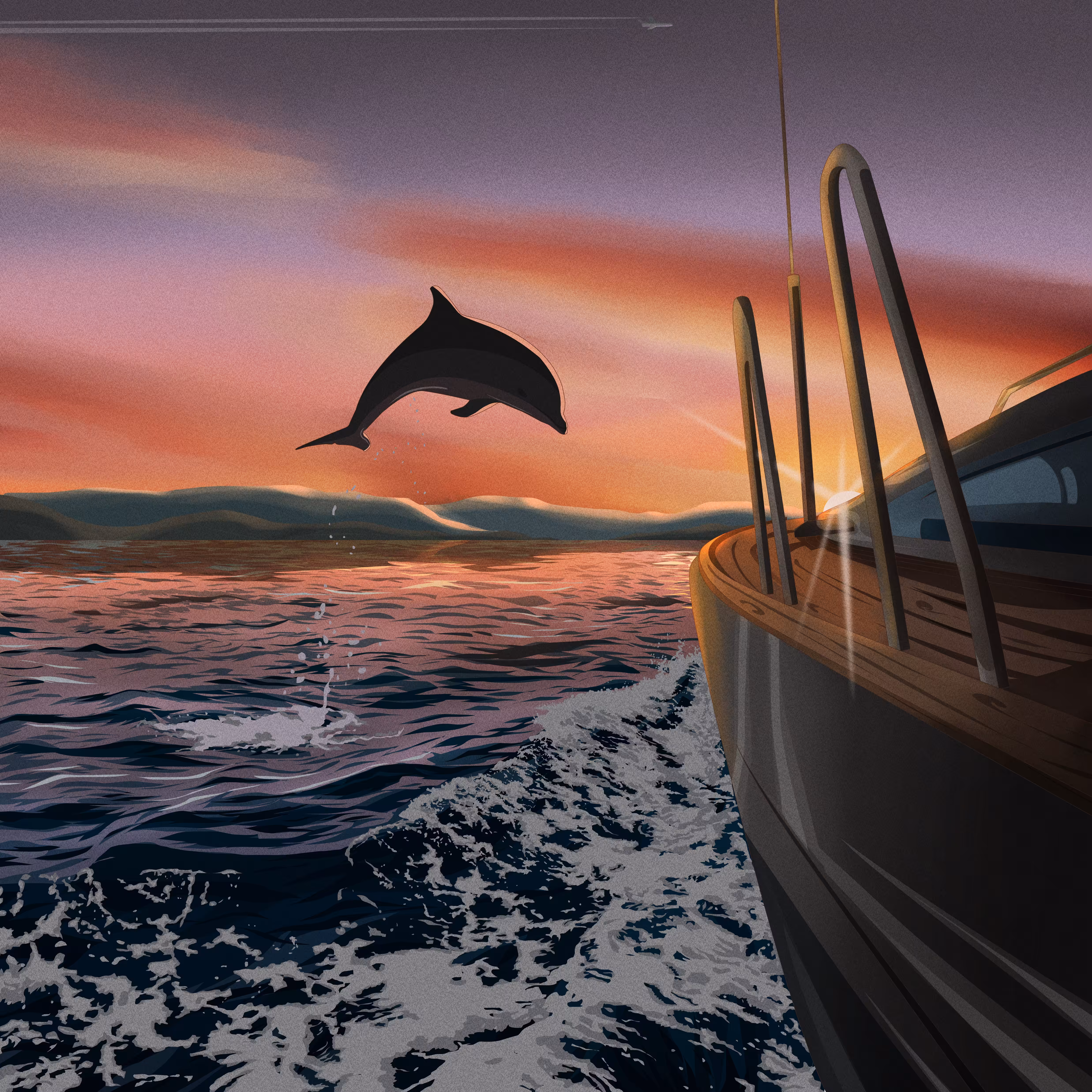 The Dolphin Bay