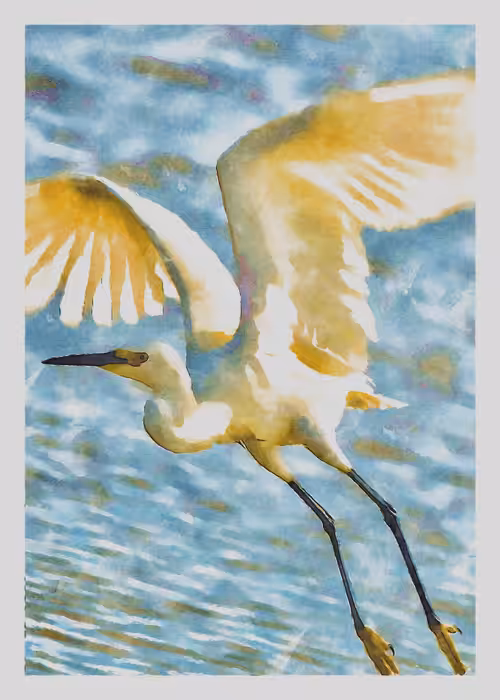 Watercolored Photography: Watercolored 061