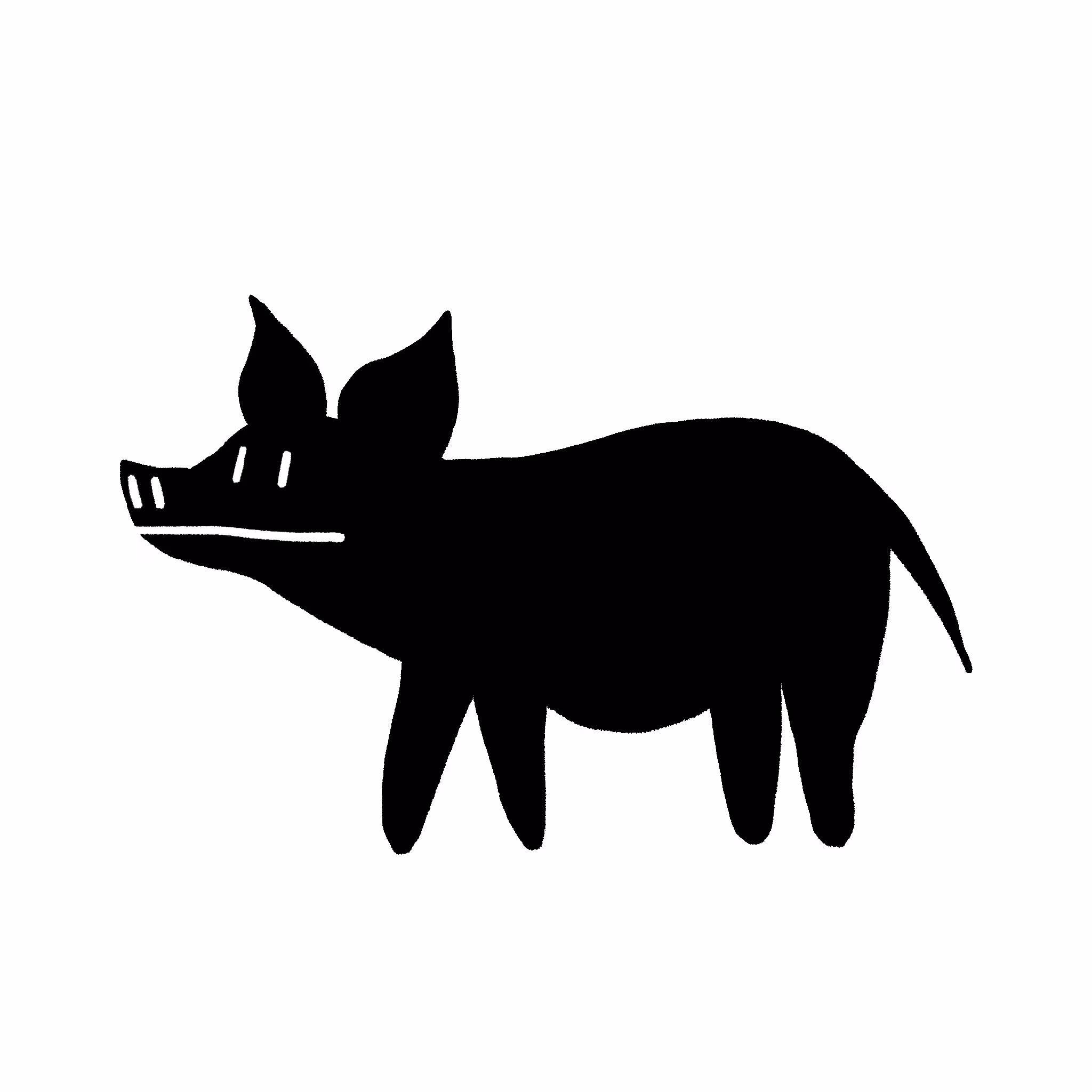 Swine