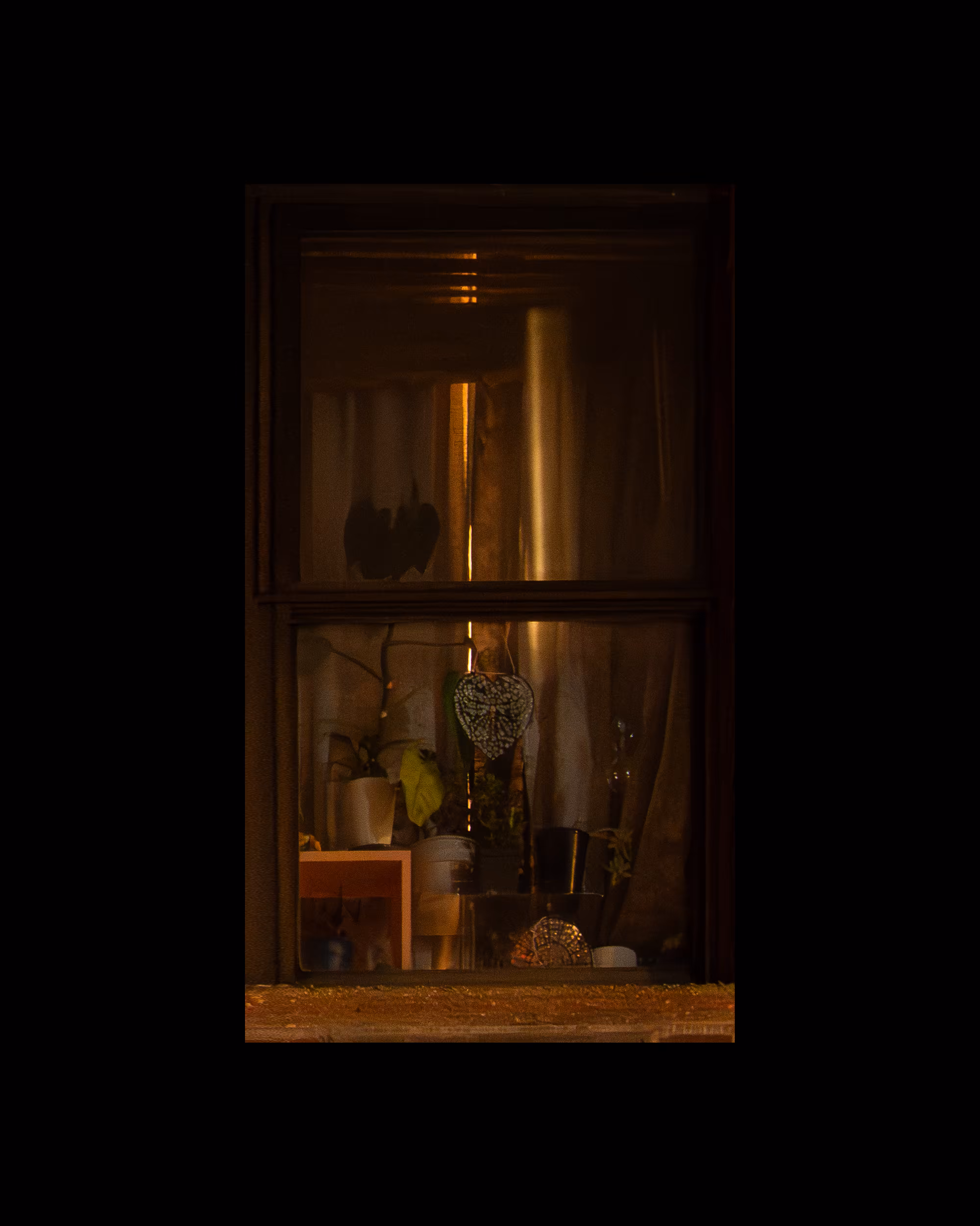 WINDOWS // NYC: WINDOW 906