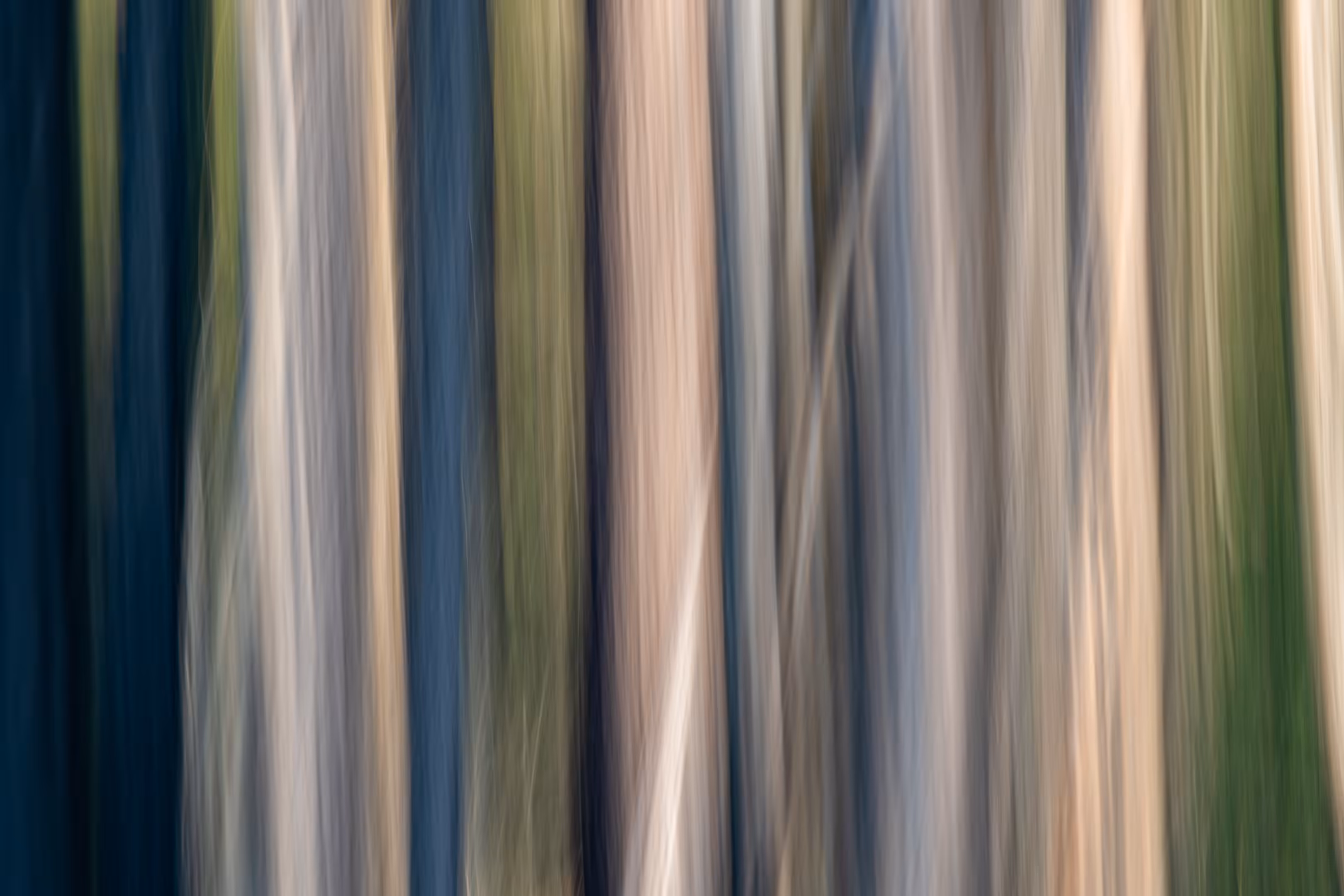 The Ghosts of Elowah #7