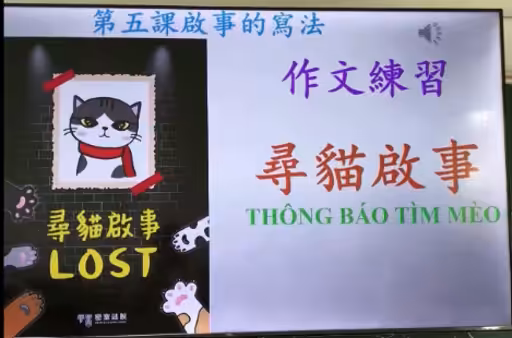 💙家惠尋貓💙