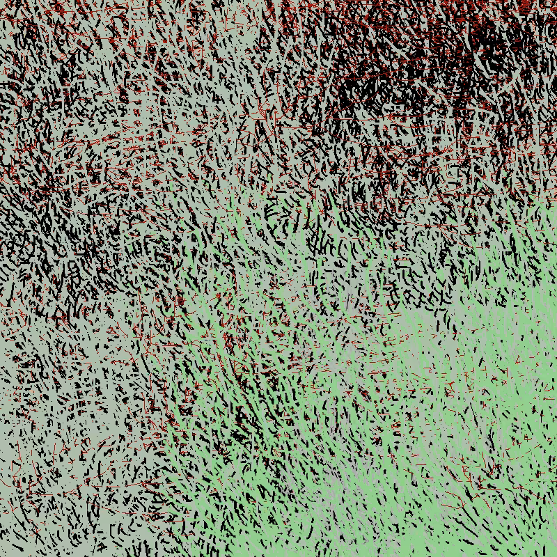 a bird worked on my painting #5