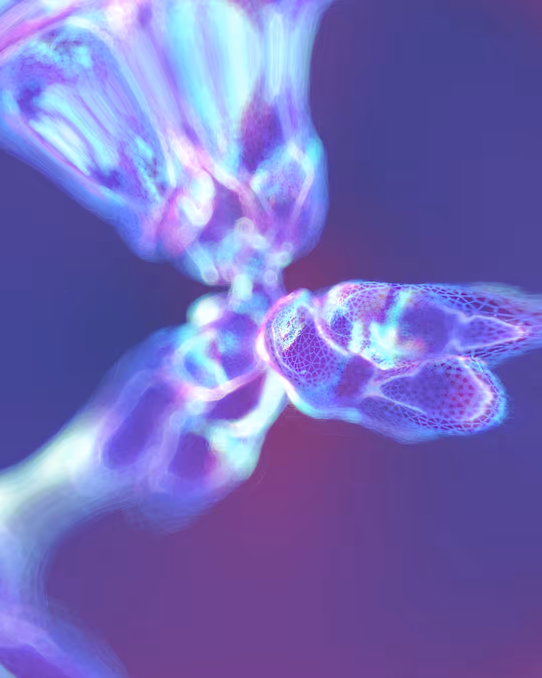Human Antibody