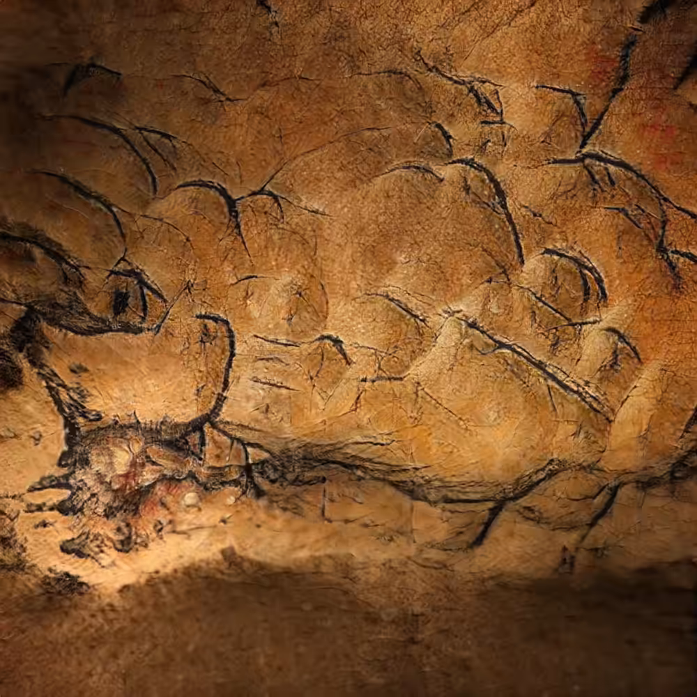CAVE 020