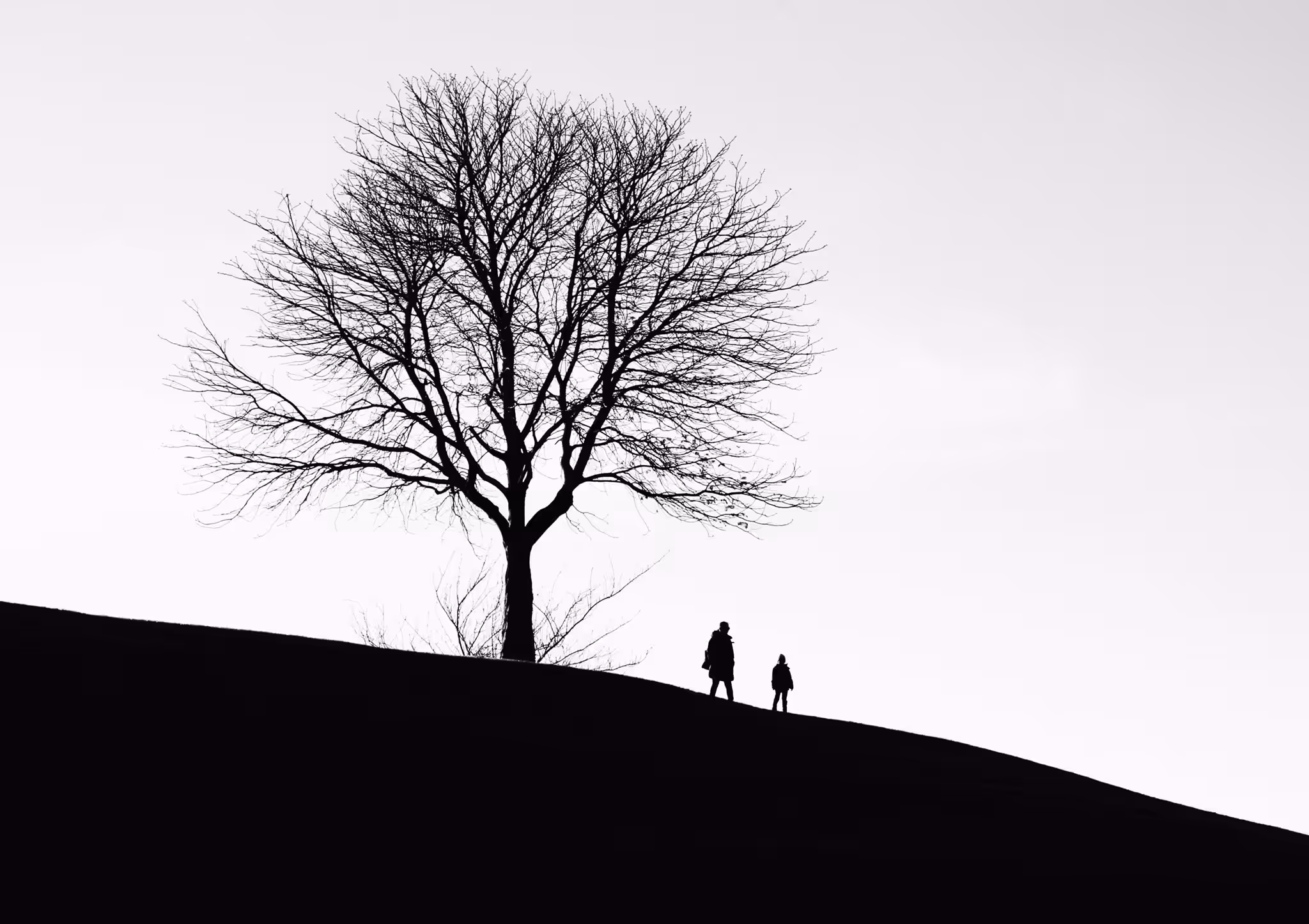 The Lookout