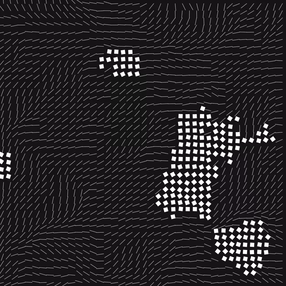 Geometric Fluidity #81