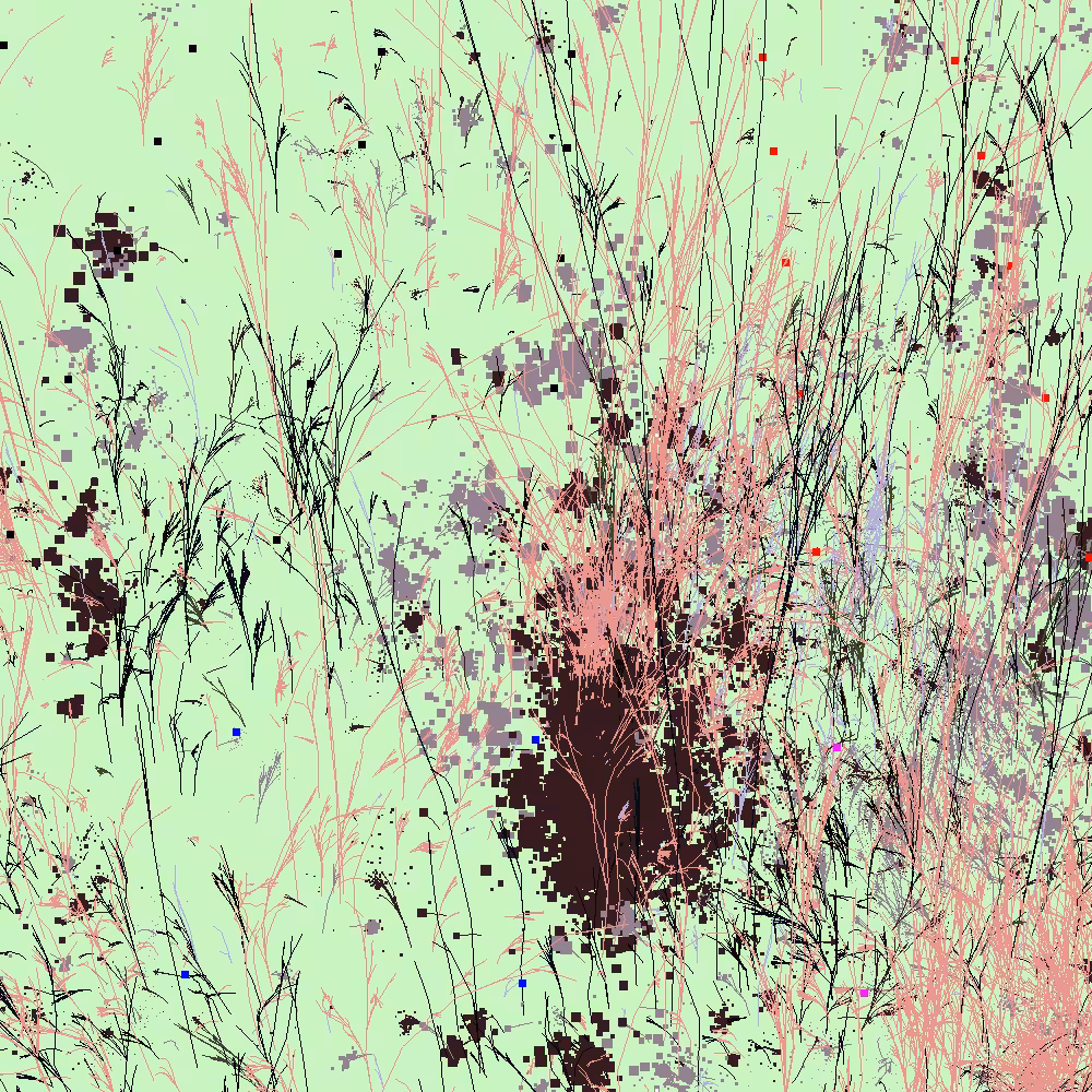 Infinite Garden: 11572 Flowers