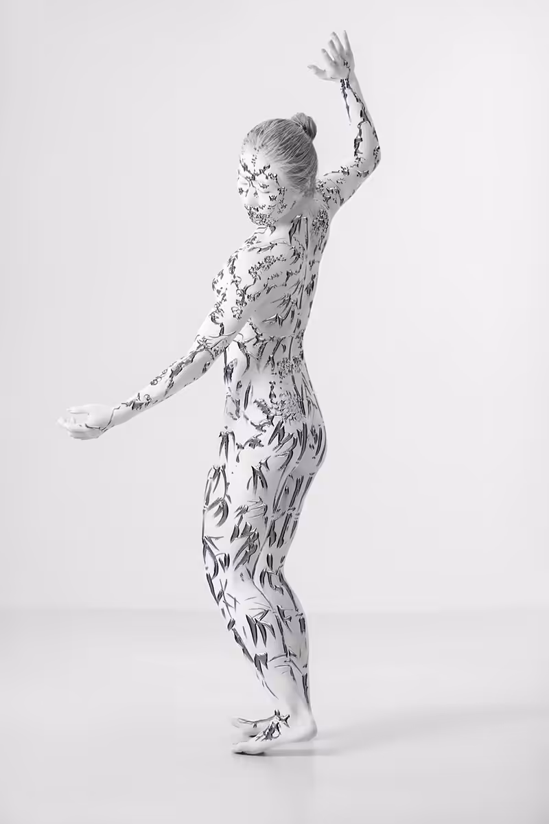 Porcelaine N°1