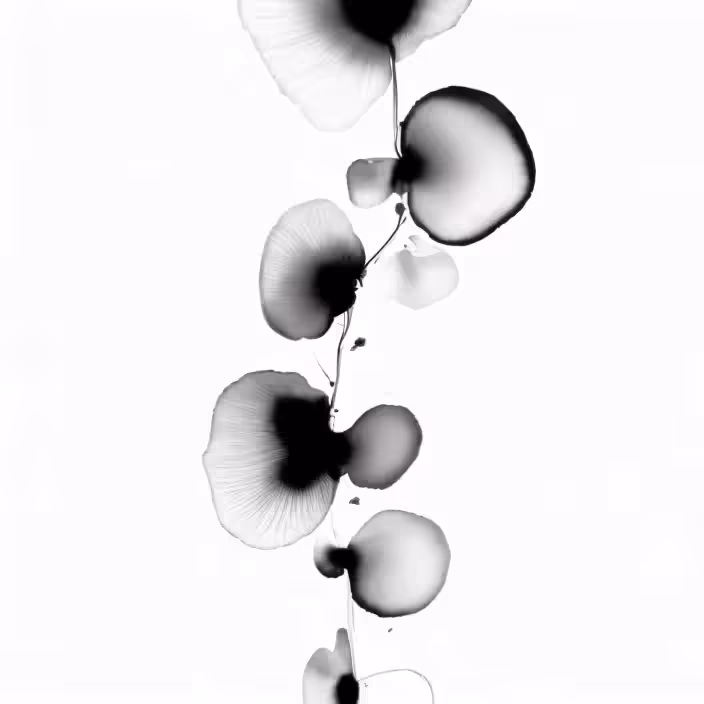 Monochromatic Blossom Ballet