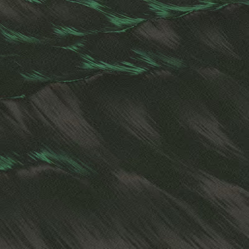 dunes #146