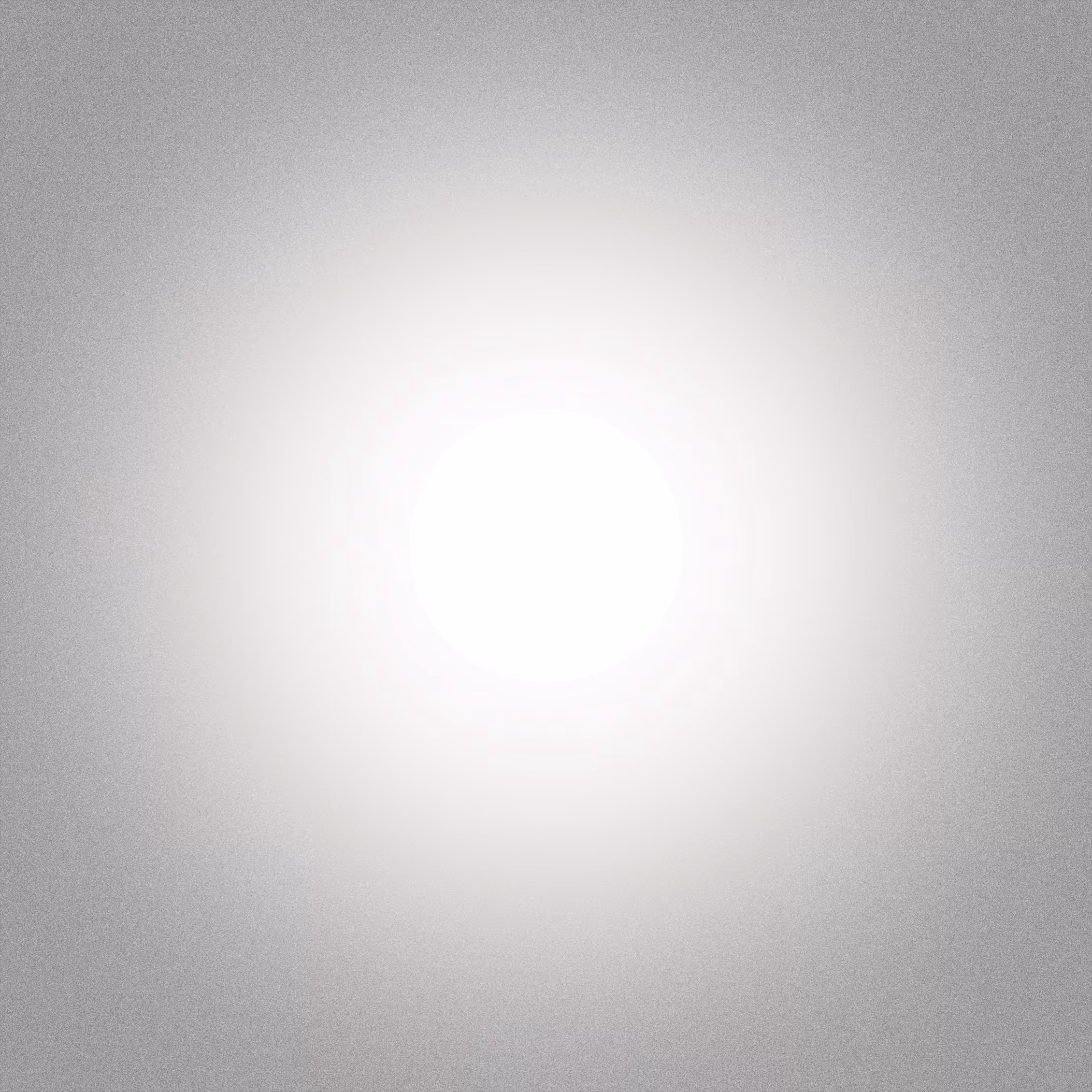 with the light 14
