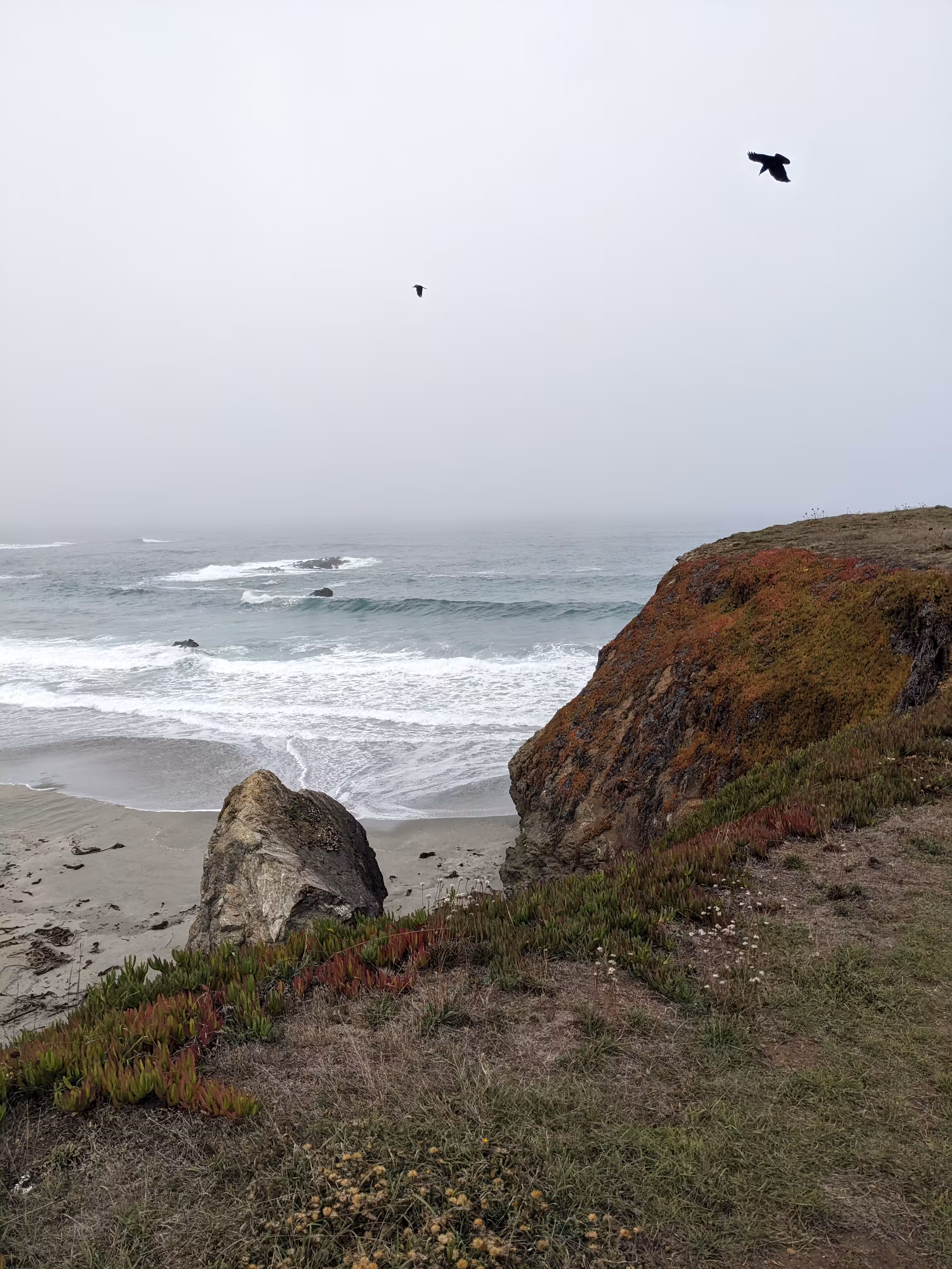 VERSA on the shore: 2. SEASHORE