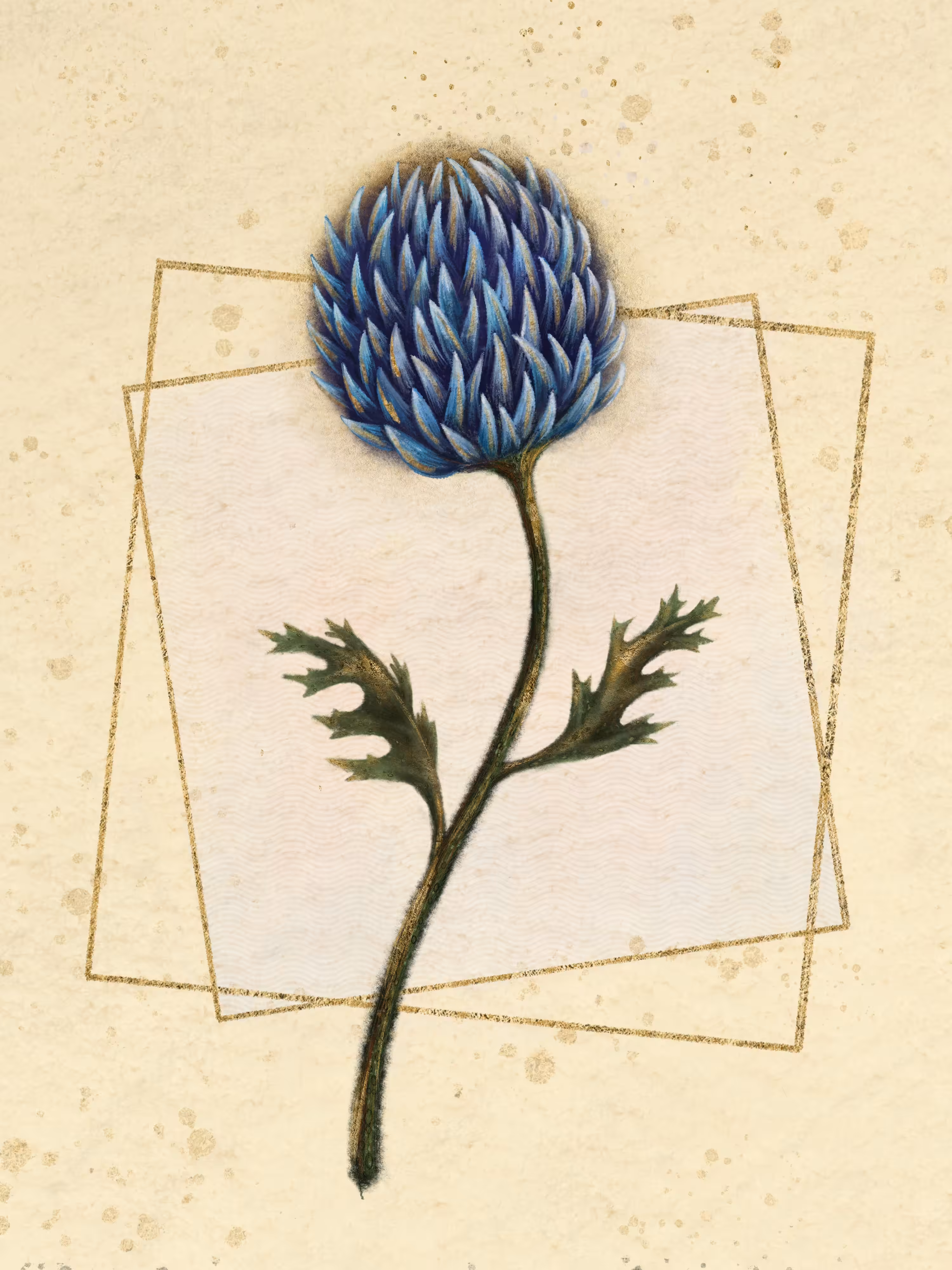 Echinops