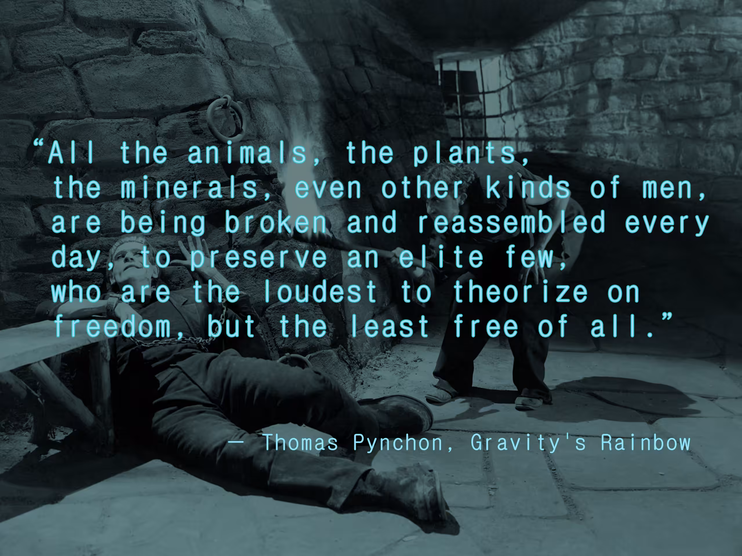 Pynchon Quote #1