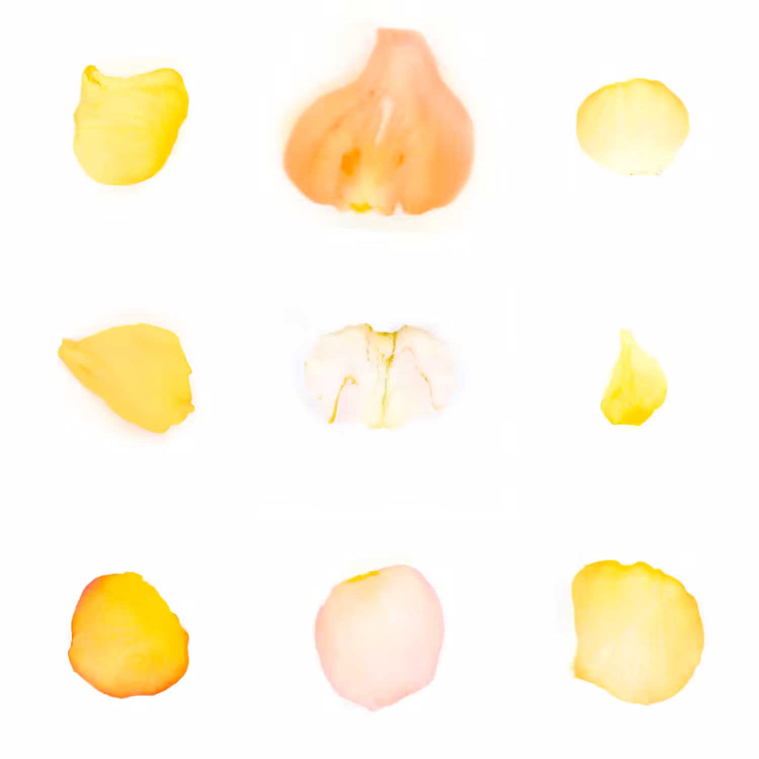 Infinite Petals 3x3#3205