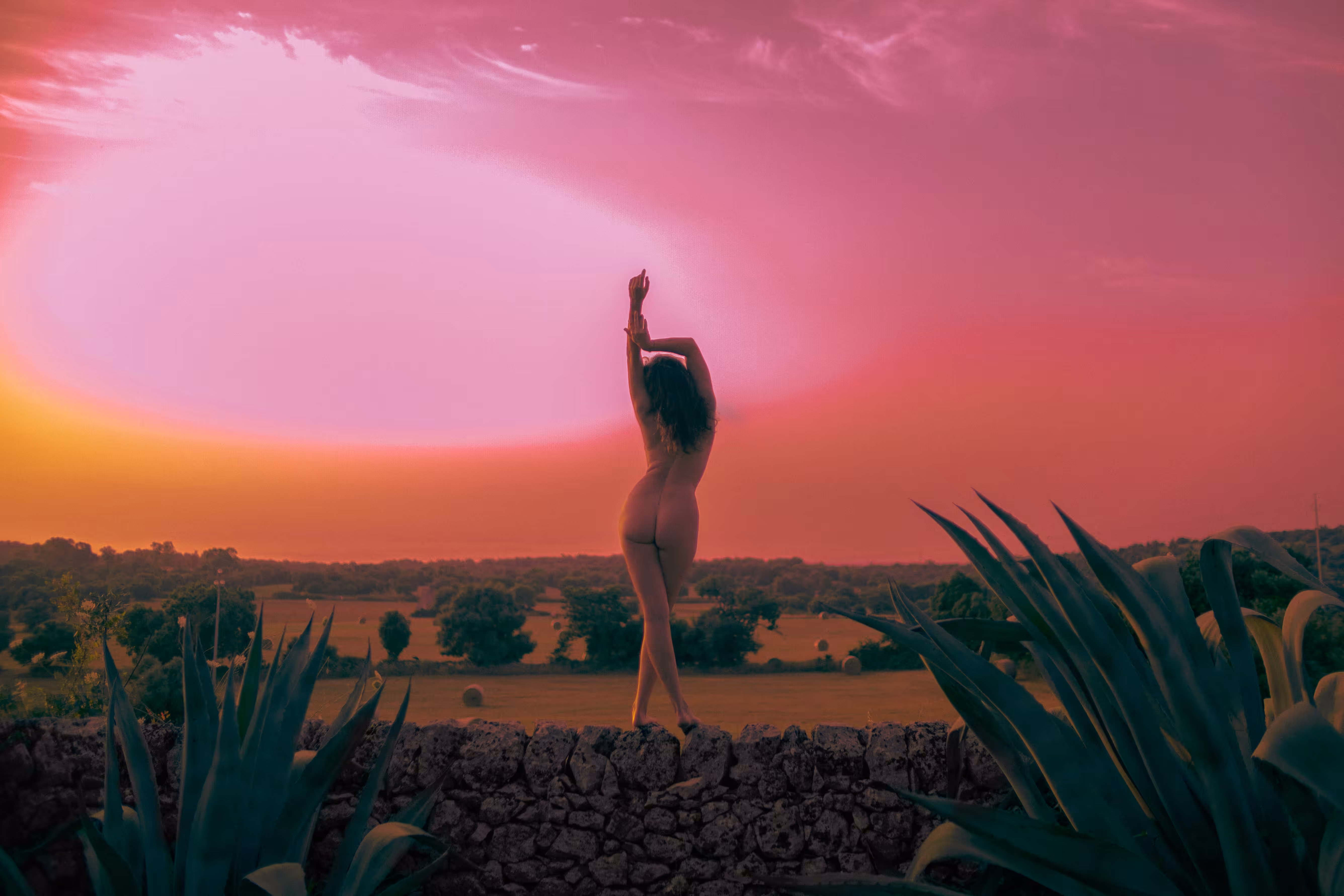 Dawn Embraces