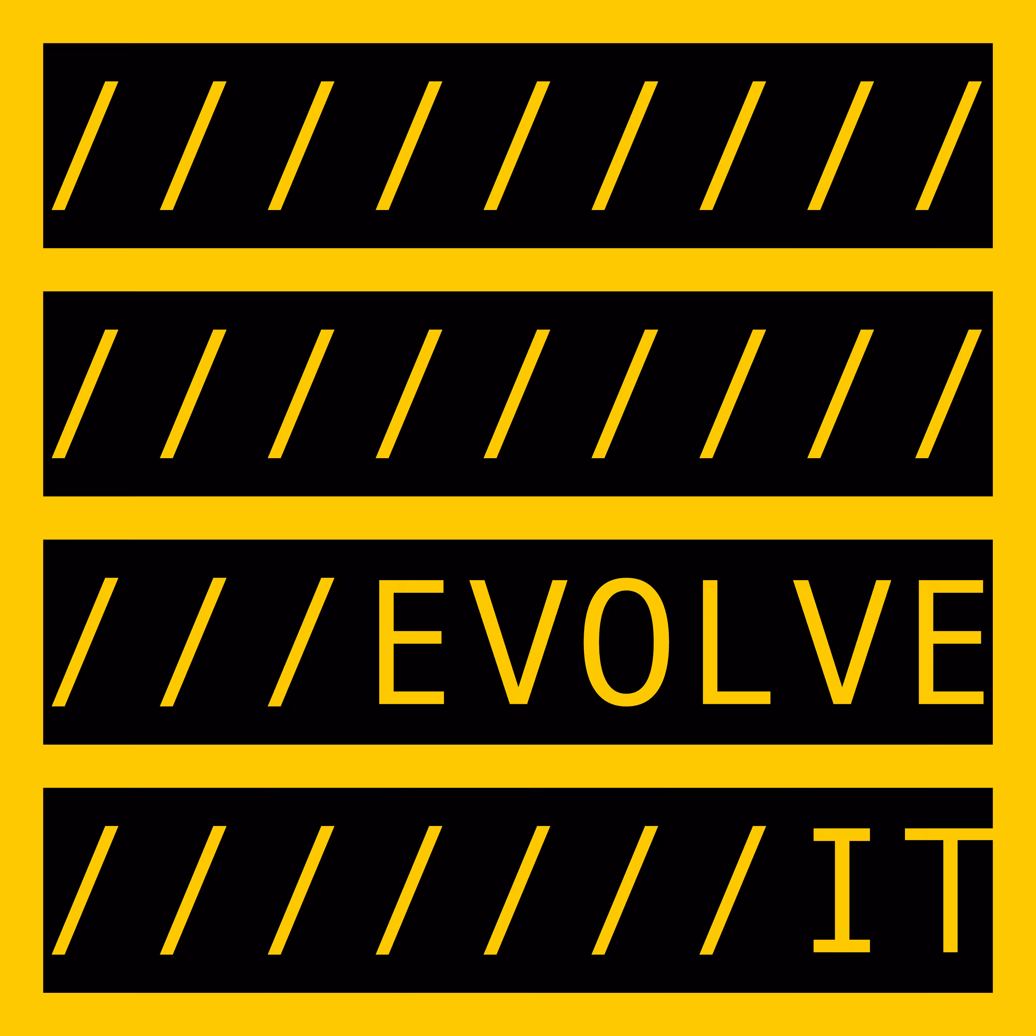 EVOLVE IT 