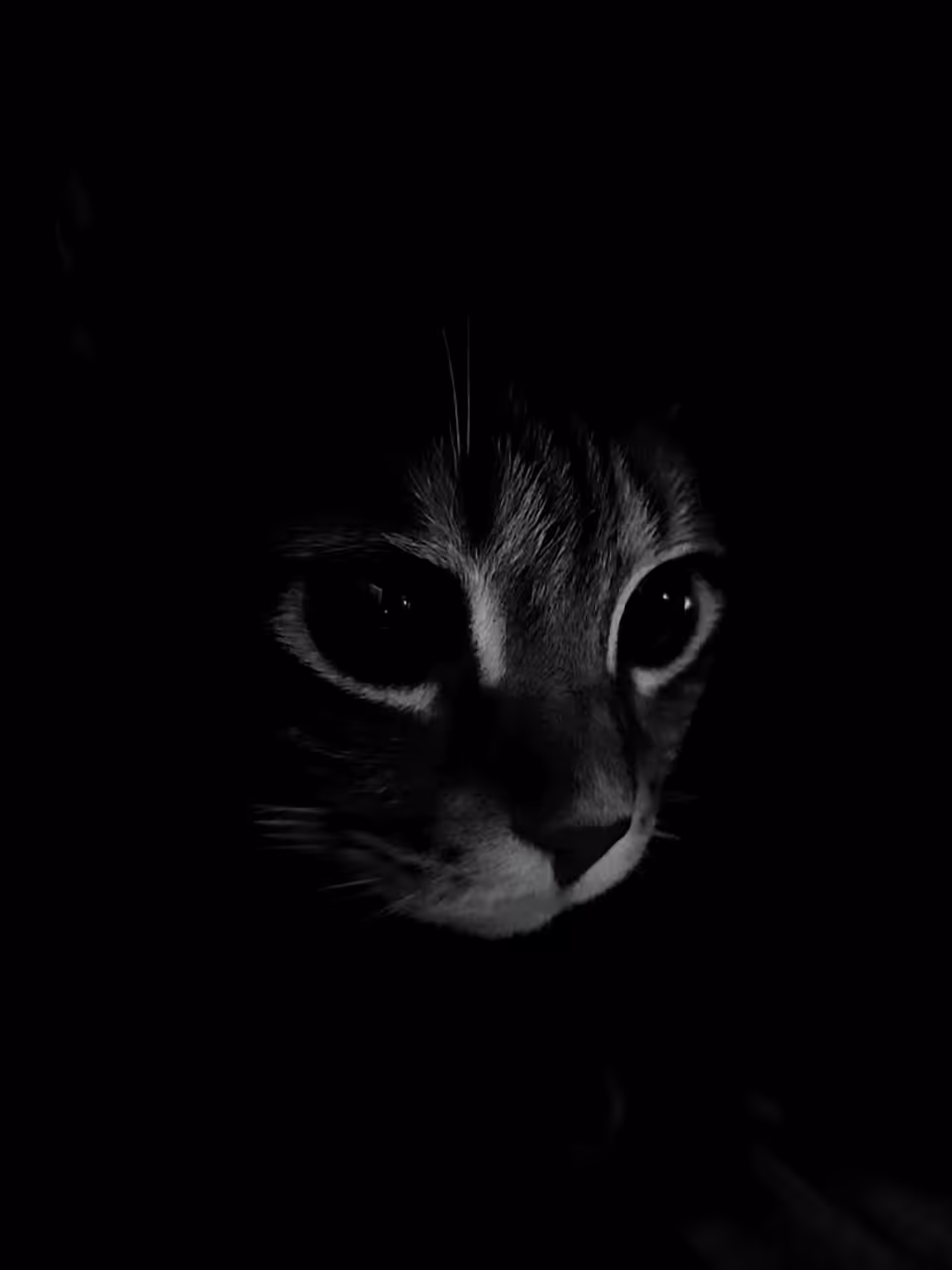 Silent Grace
