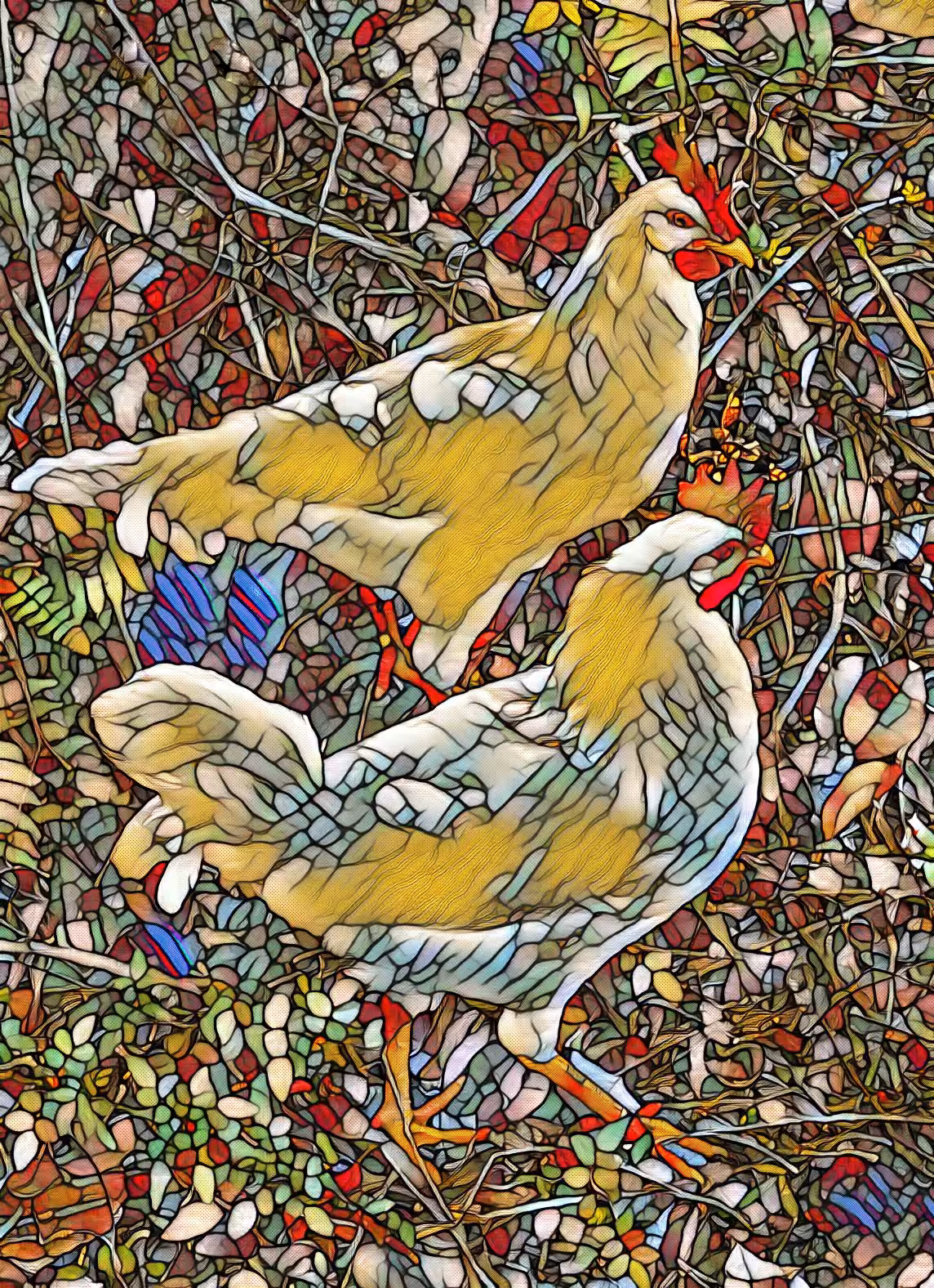 HEN V1 and V2