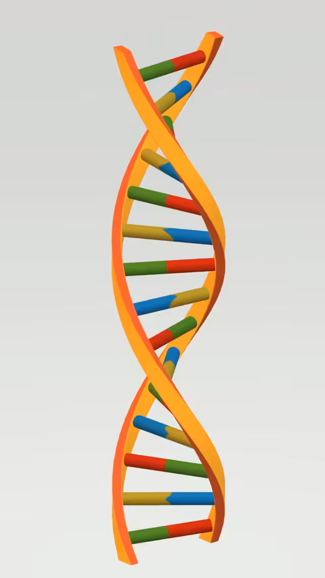 DNA.