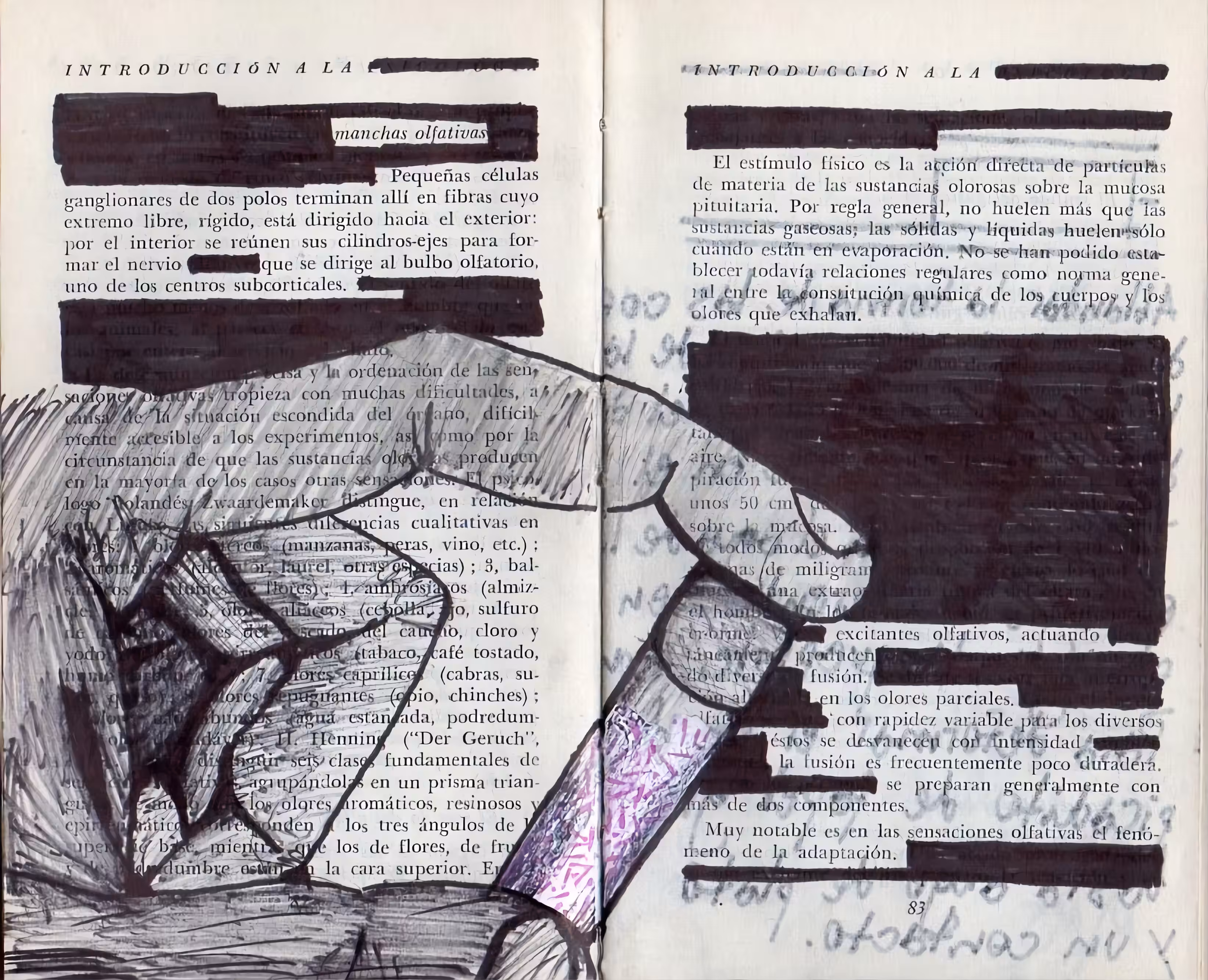 Palimpsest