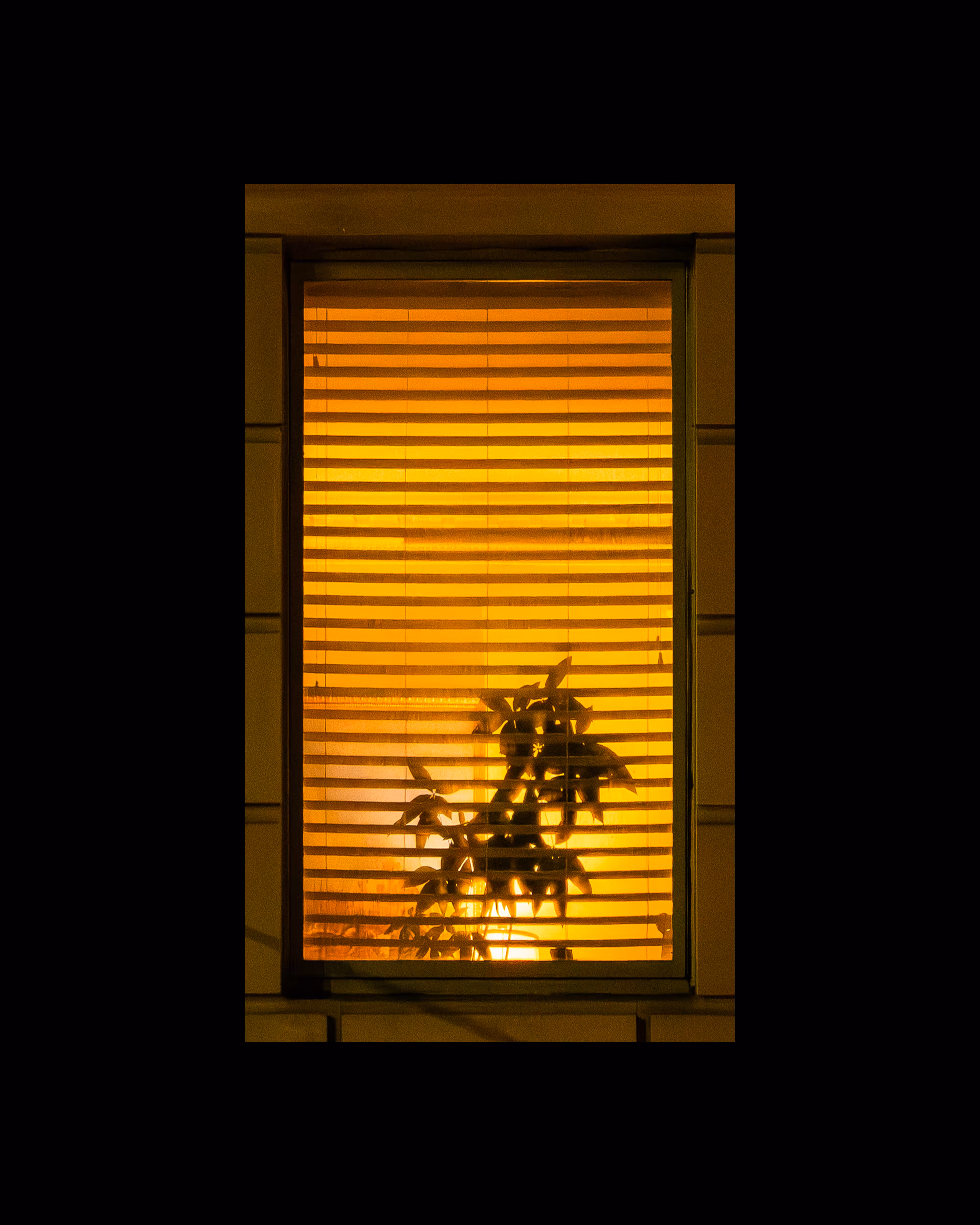 WINDOWS // NYC: WINDOW 683
