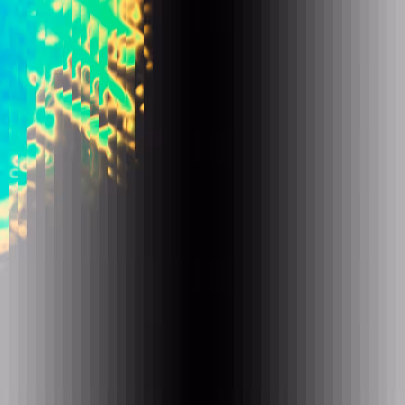 mycelium/ #1