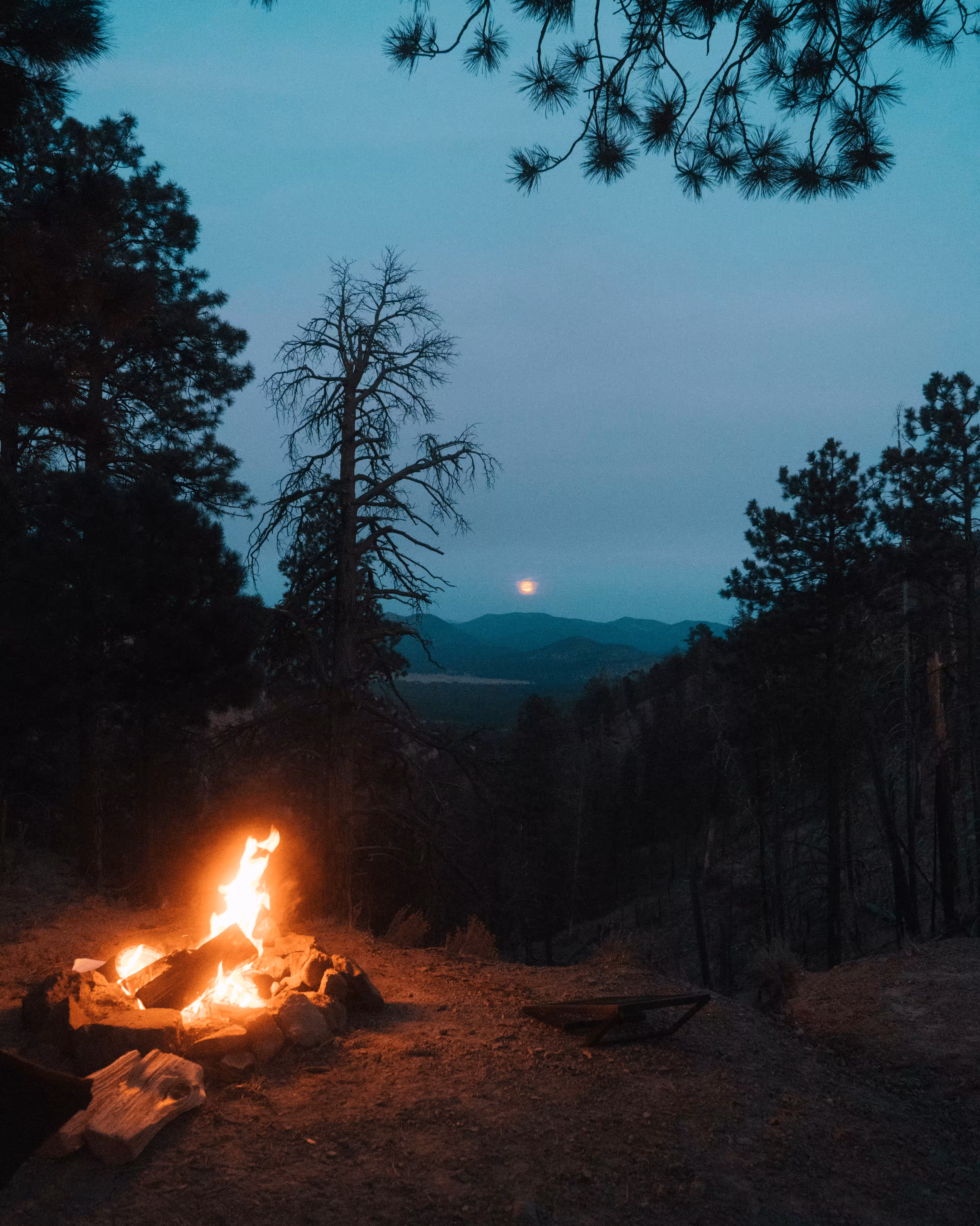 The Camp