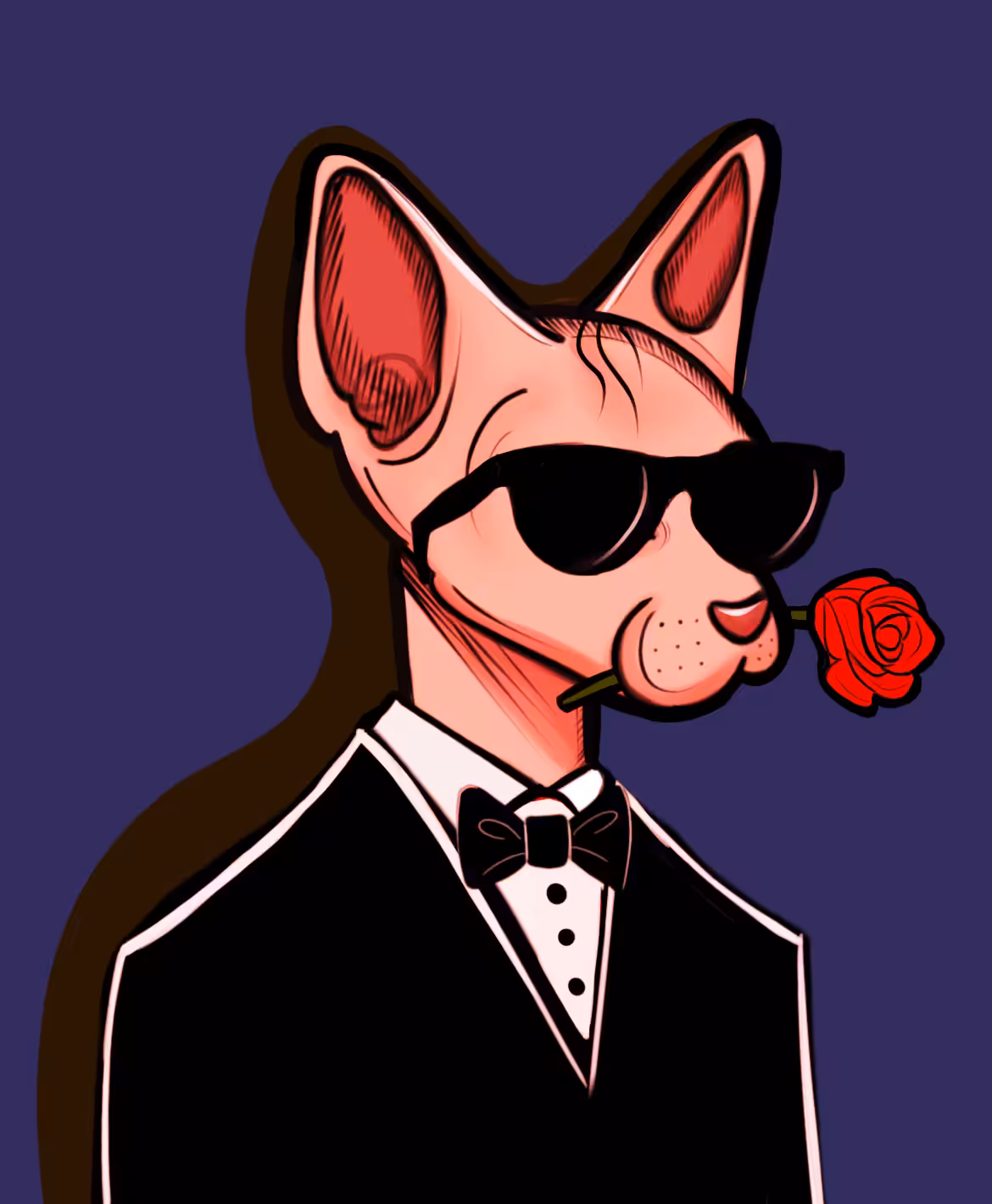 Sphynx Gangster #46