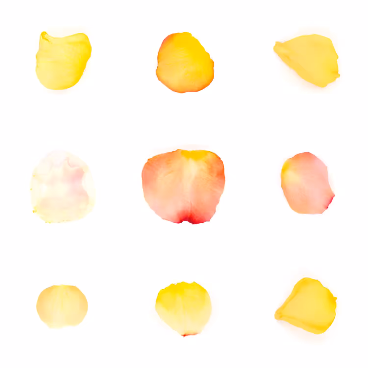 Infinite Petals 3x3#3472