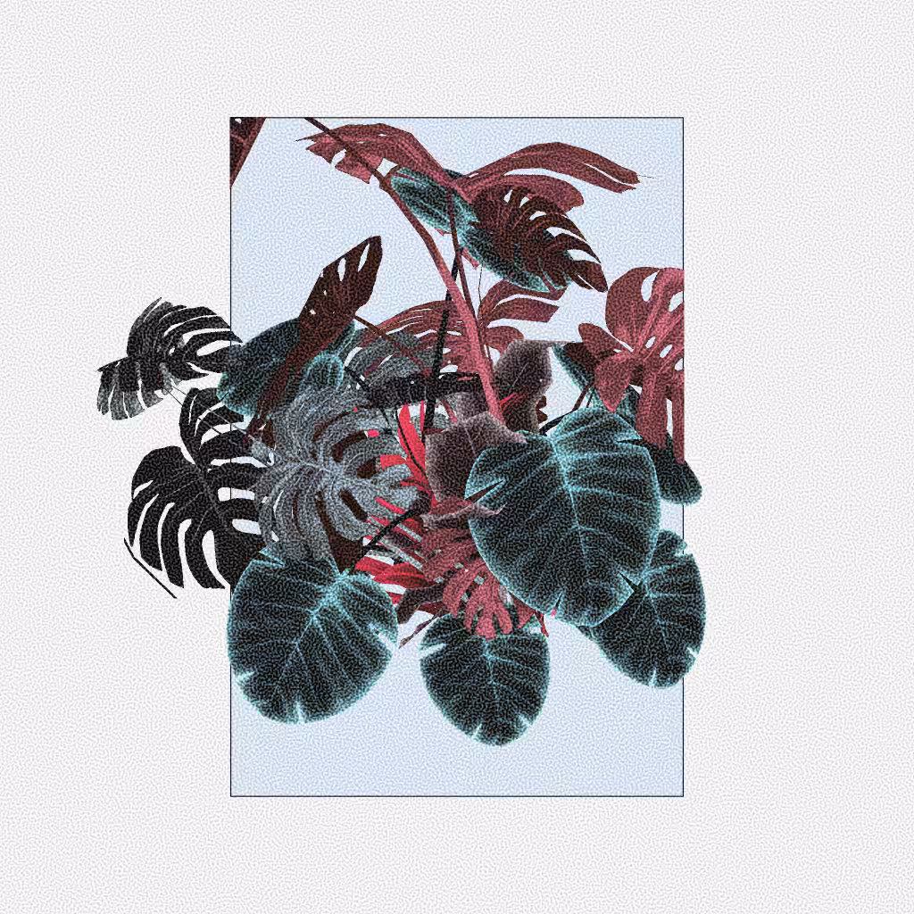 Botany #49