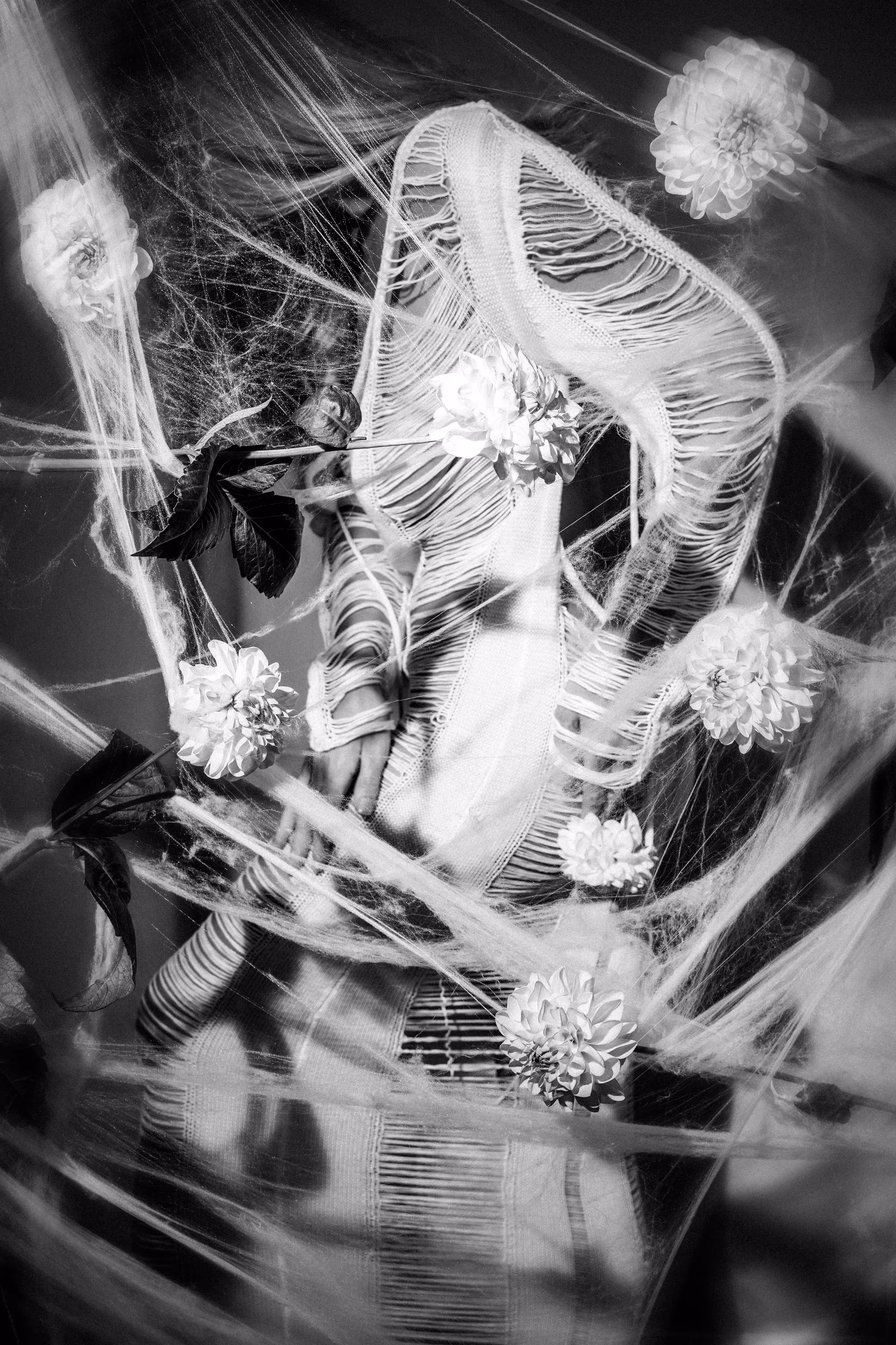 In a Whirlwind of Thoughts