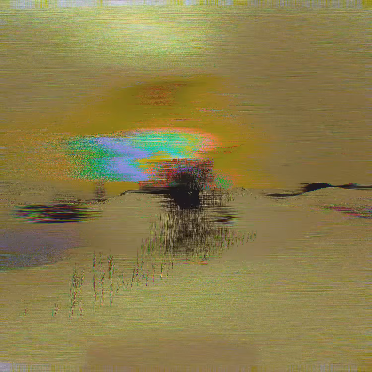 Rhythms of Silence