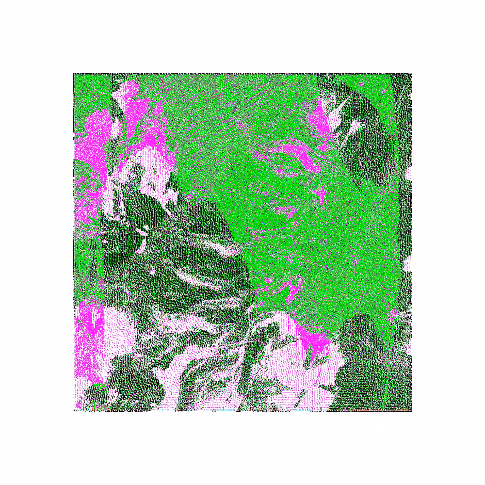 CHX-1 #205