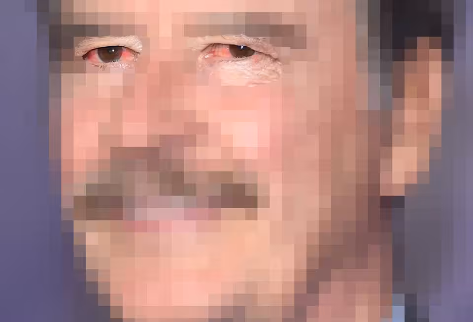 THE VICENTE FOX COMPANY