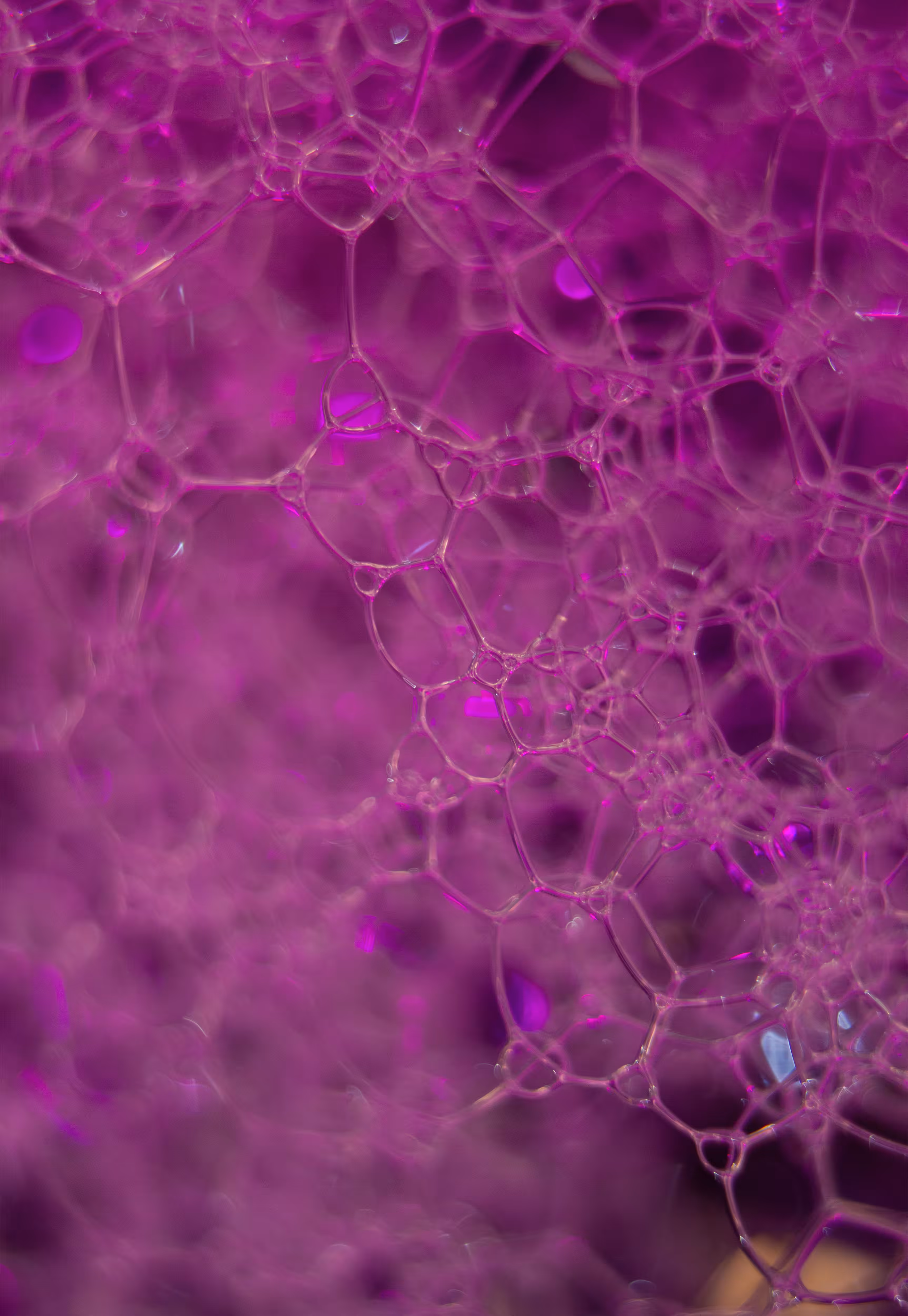 Abstract World of Soap Bubbles: #29 Bubbles