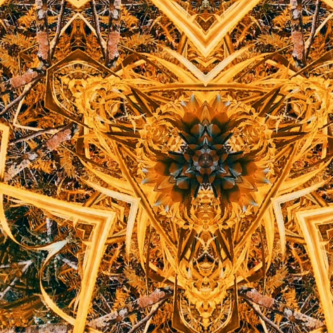 Psy flower Tilbe