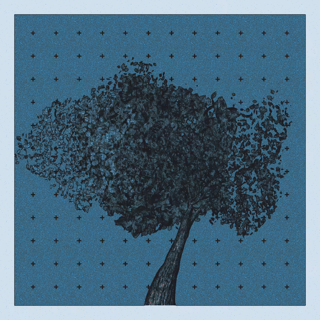 _argania[primaria] #274