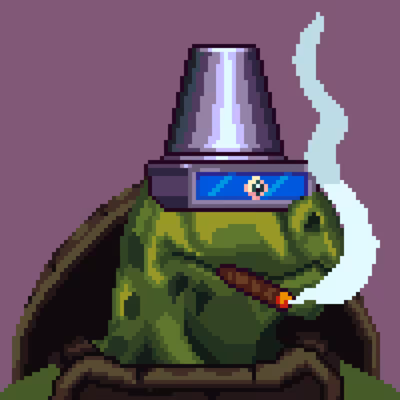 Turtles #19