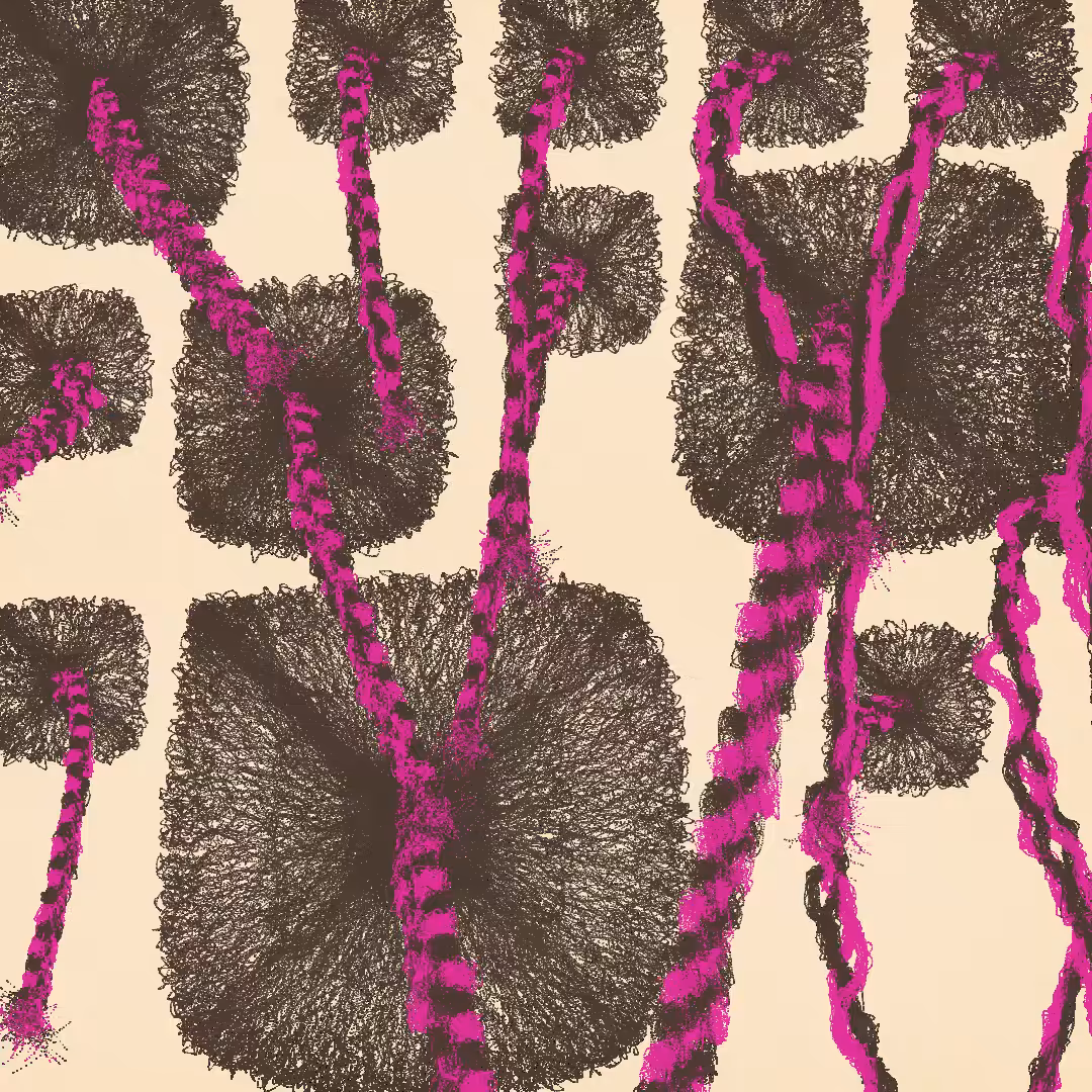 Beauty Supply Is Out of Du-Rags: A Personal Synthesis of Protection and Timeless Style #150