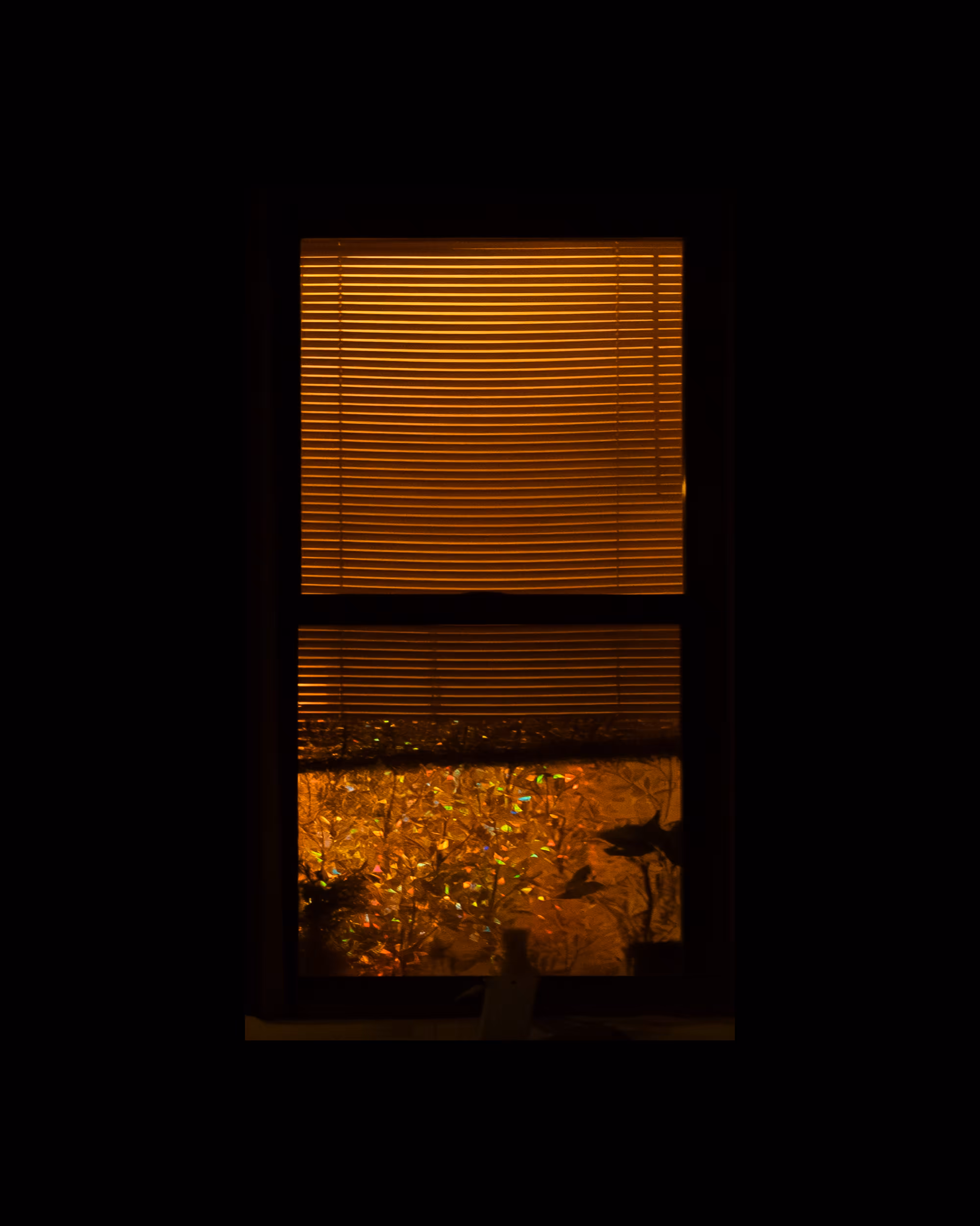 WINDOW 57