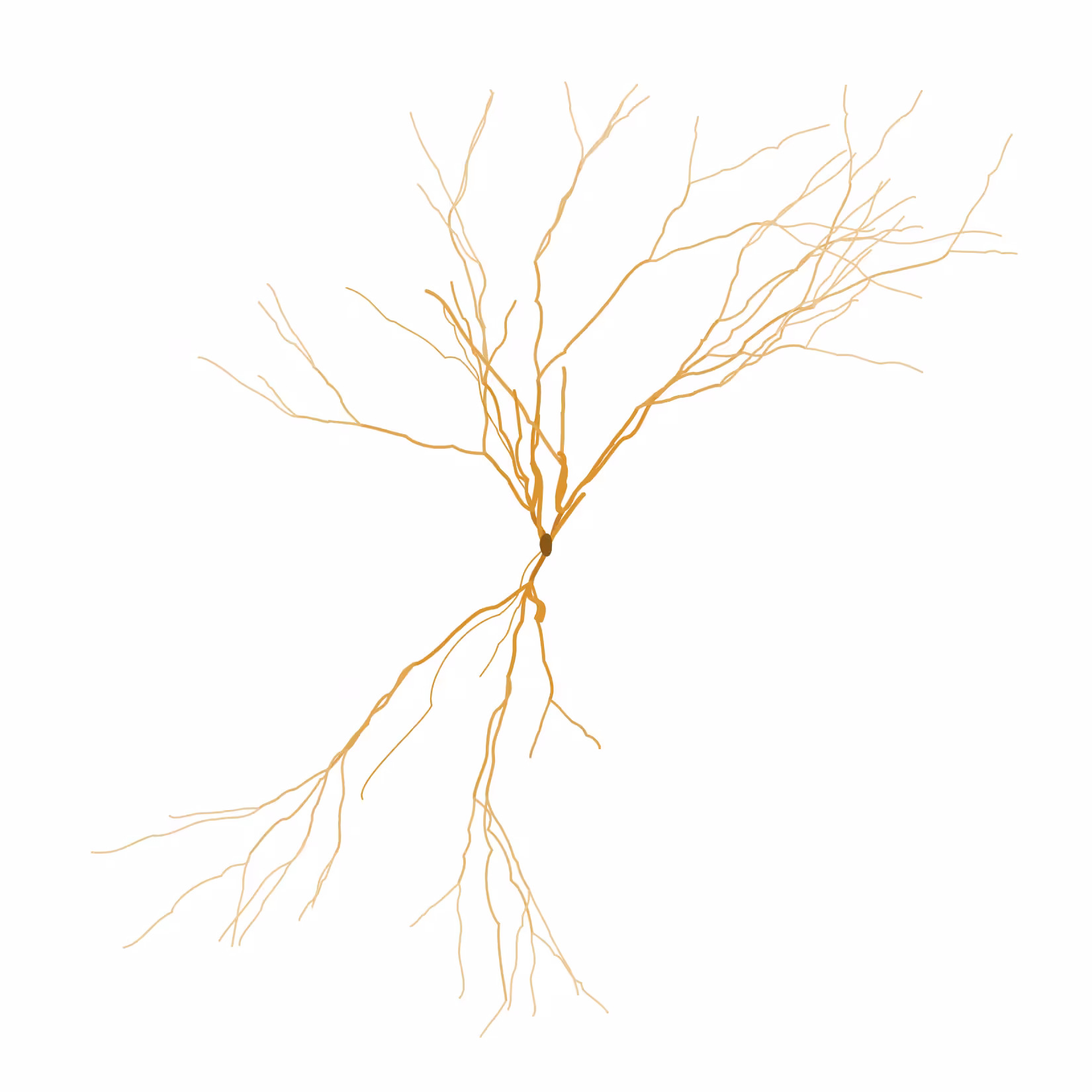 Ghost Forest Seedlings: Ghost Forest Seedling #123