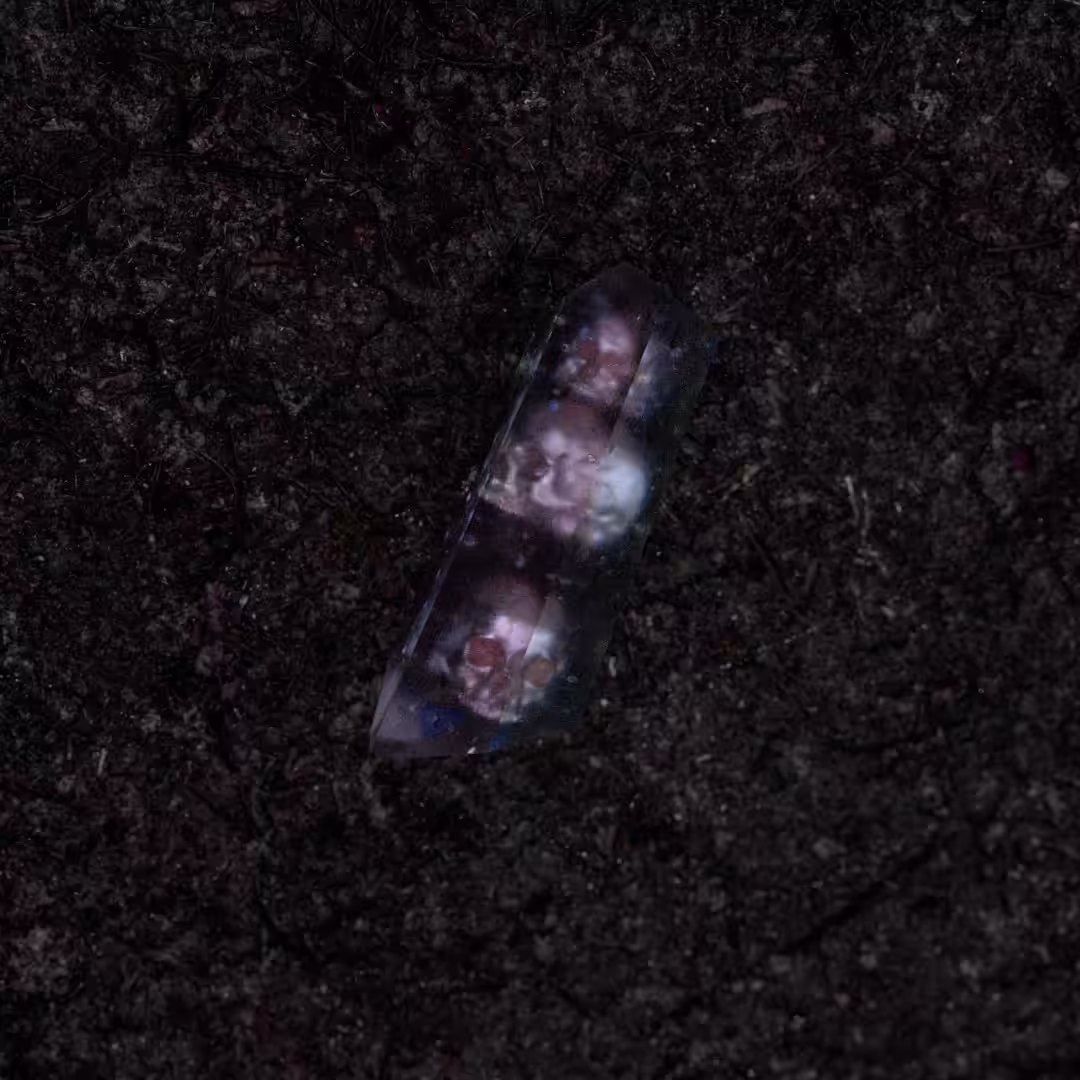 I lost my crystal in the forest