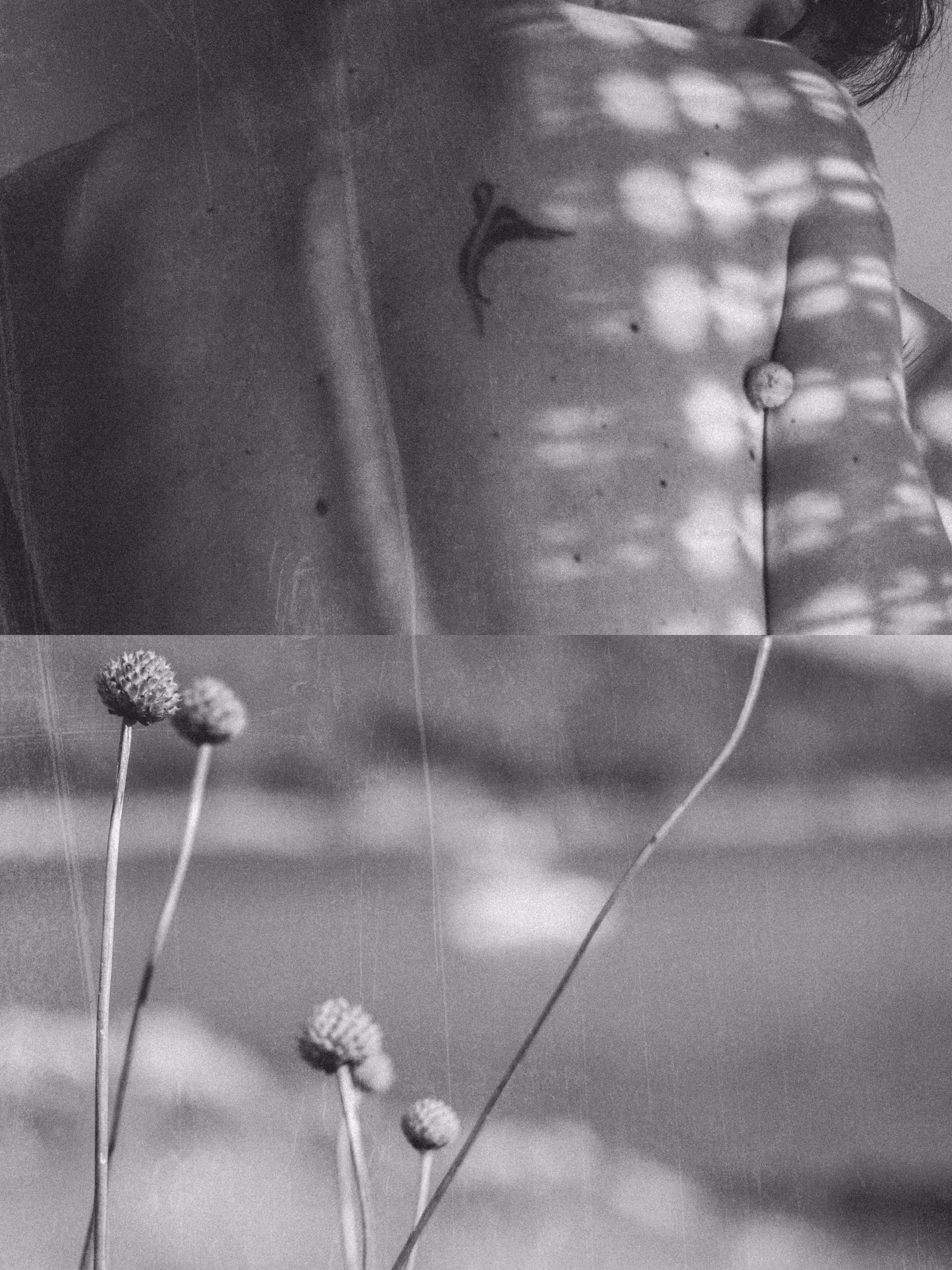 empty shores