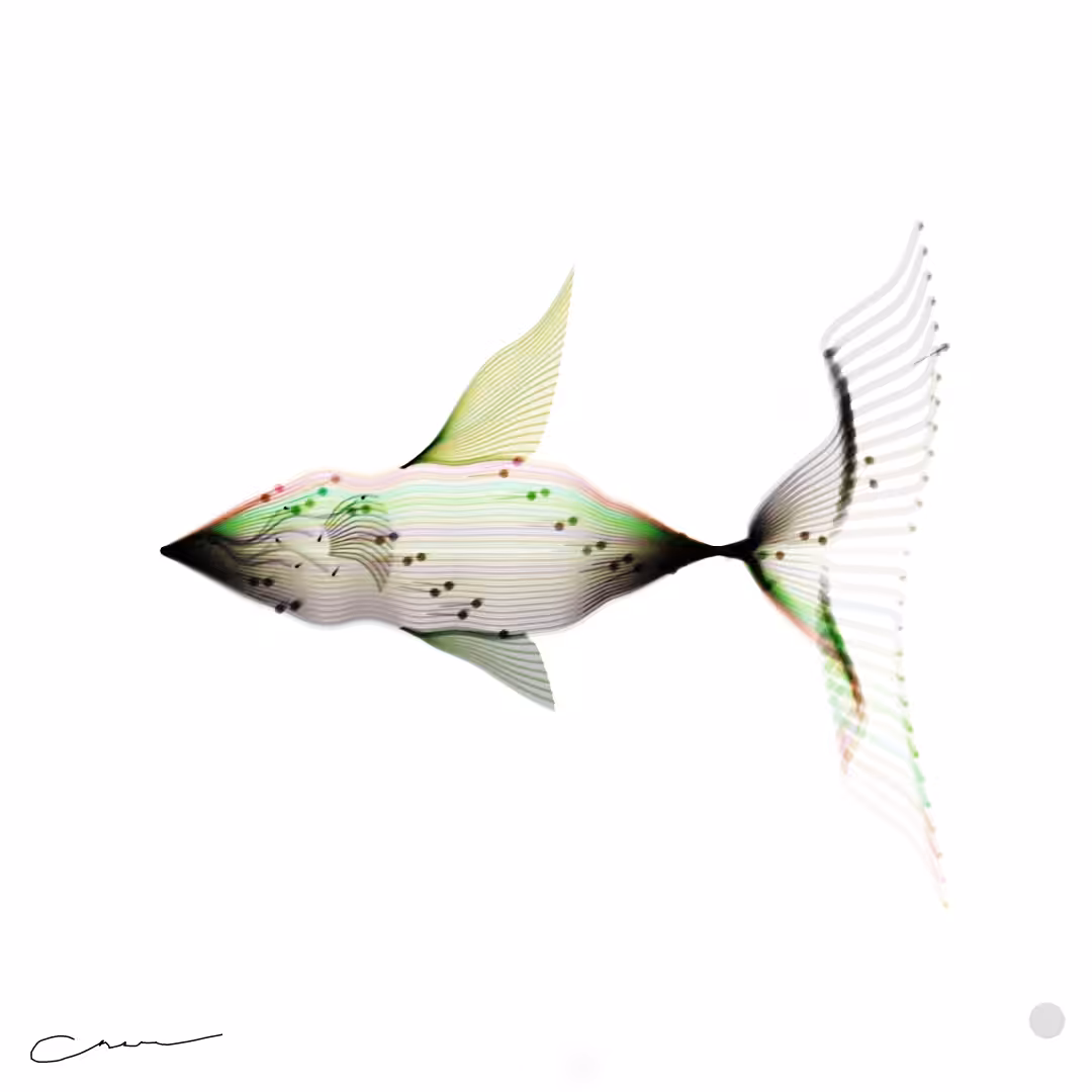 SoulFish