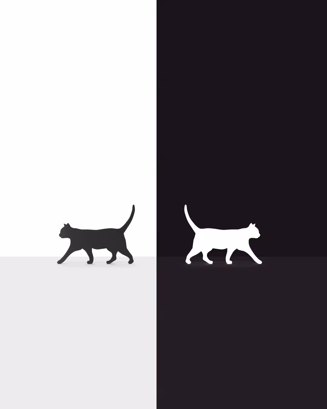 Black and White