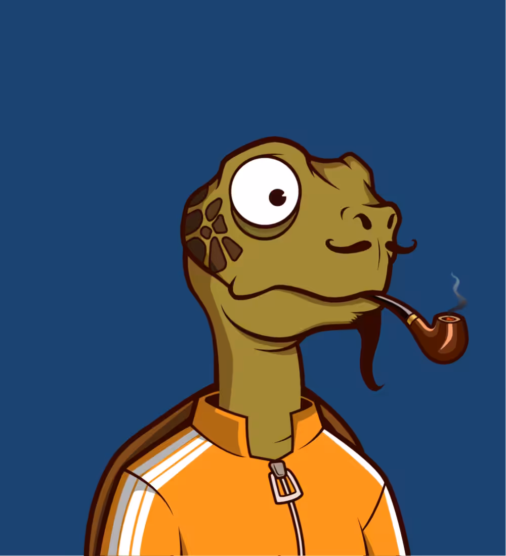 Tiny Turtle 36